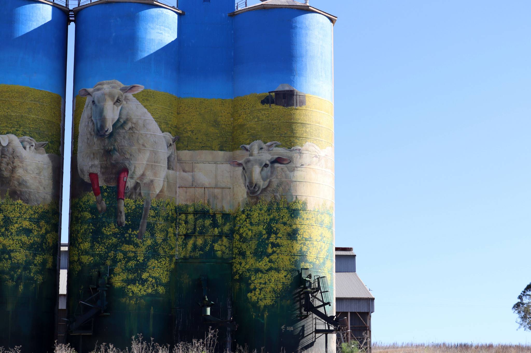 David Lee Pereira&mdash;Graincorp Merriwa Silo