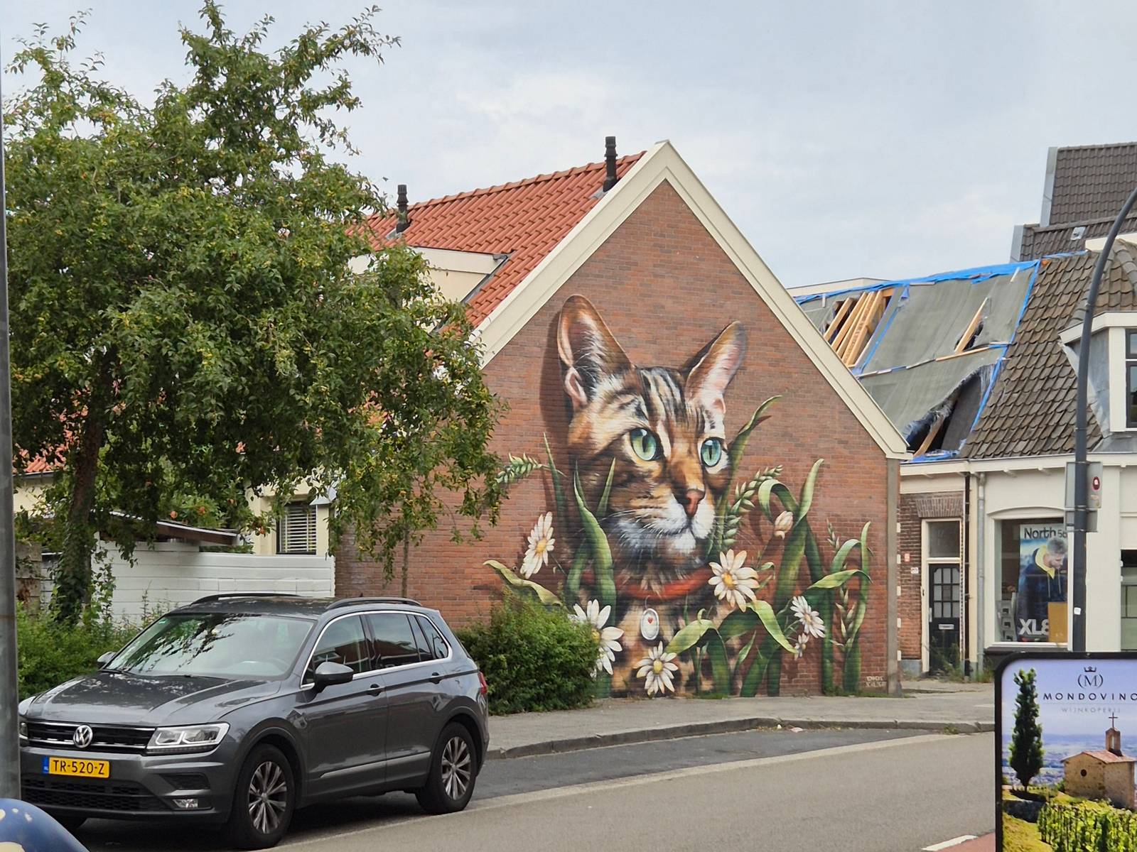 Lonneke van Zutphen—Ode to the Assendorper Cats