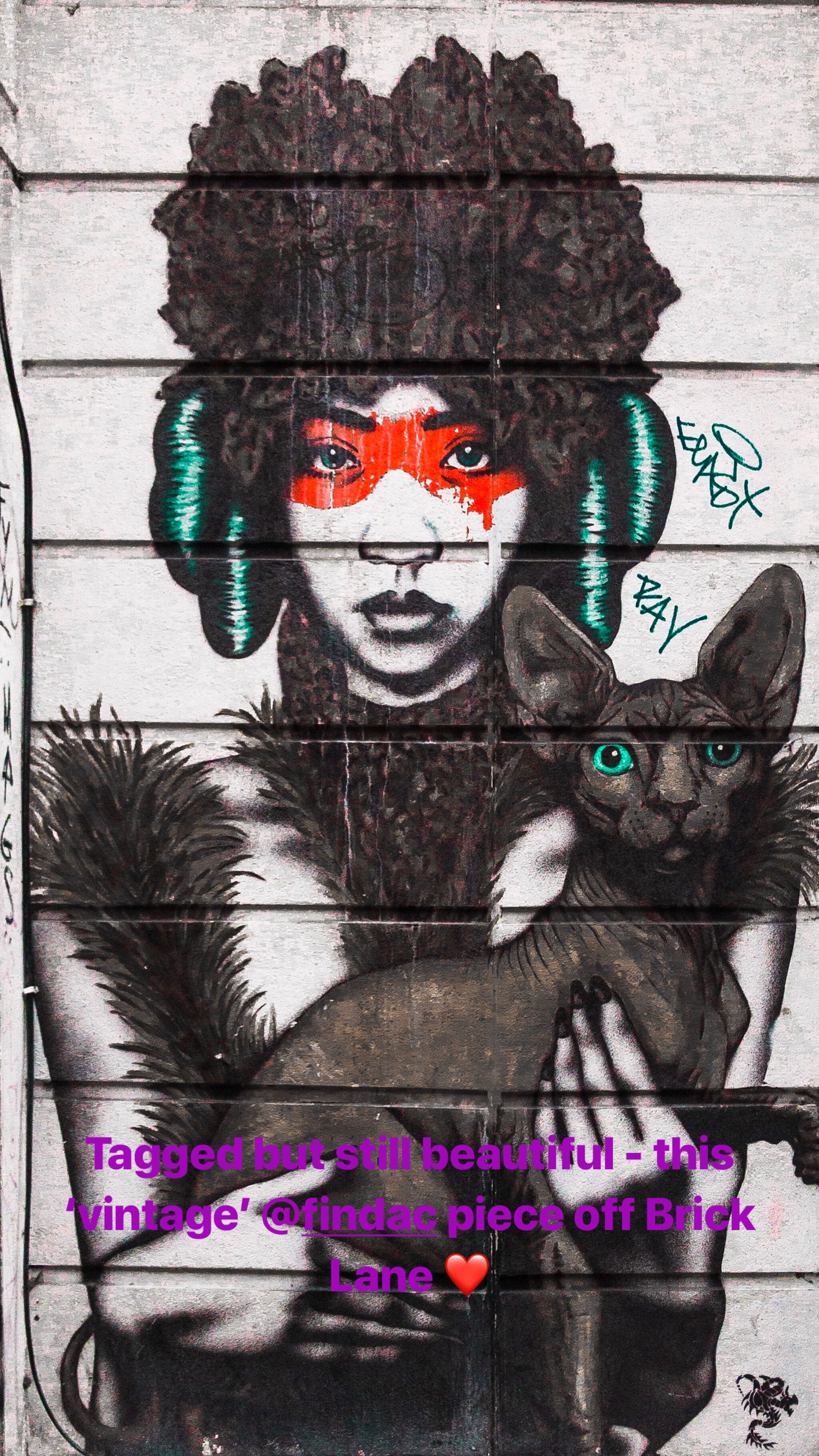 Fin DAC, Fin DAC&mdash;Findac and cat