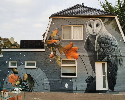 The Owl in Autumn