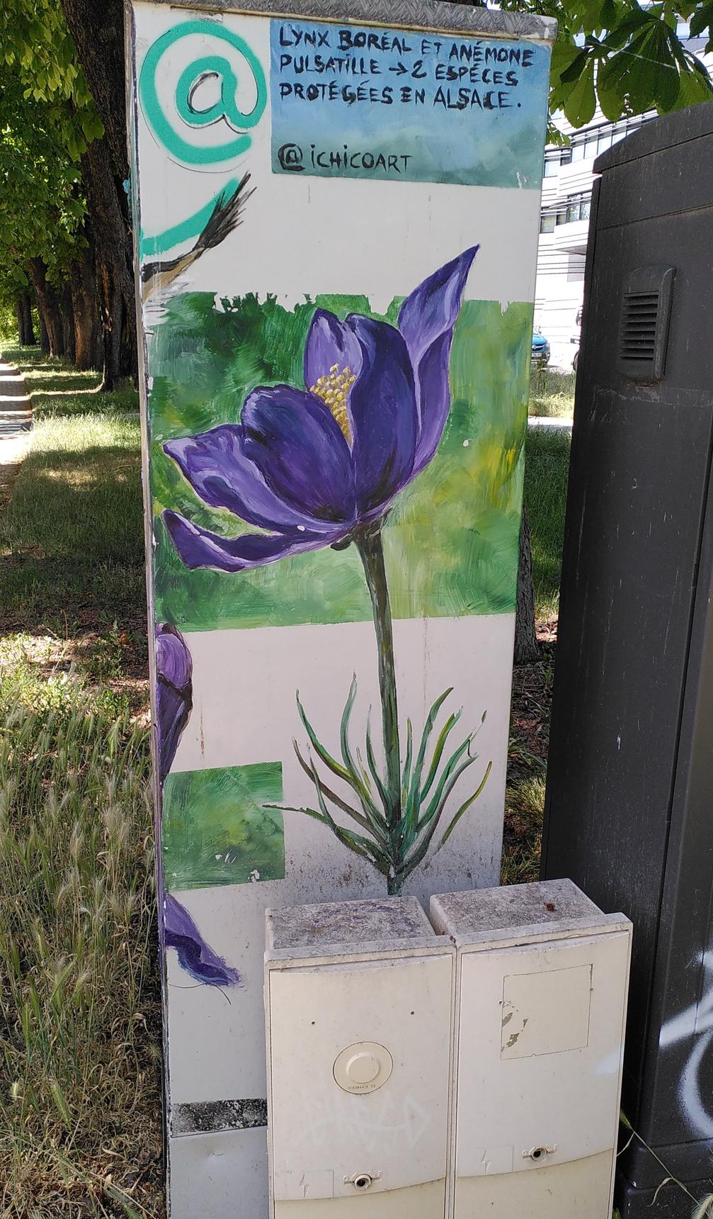 Ichicoart (Isabelle Chico)—Lynxes and pasqueflowers