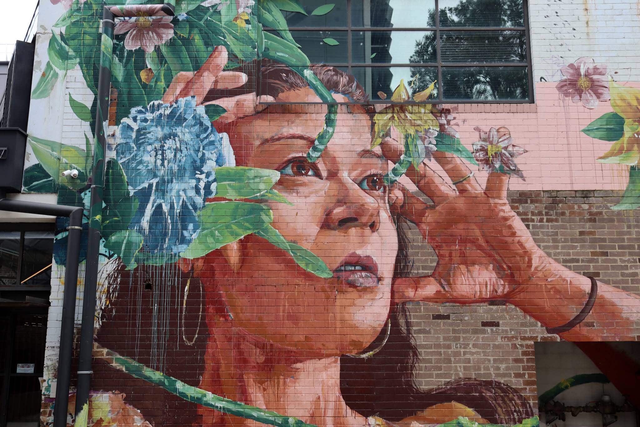 Fintan Magee&mdash;undefined