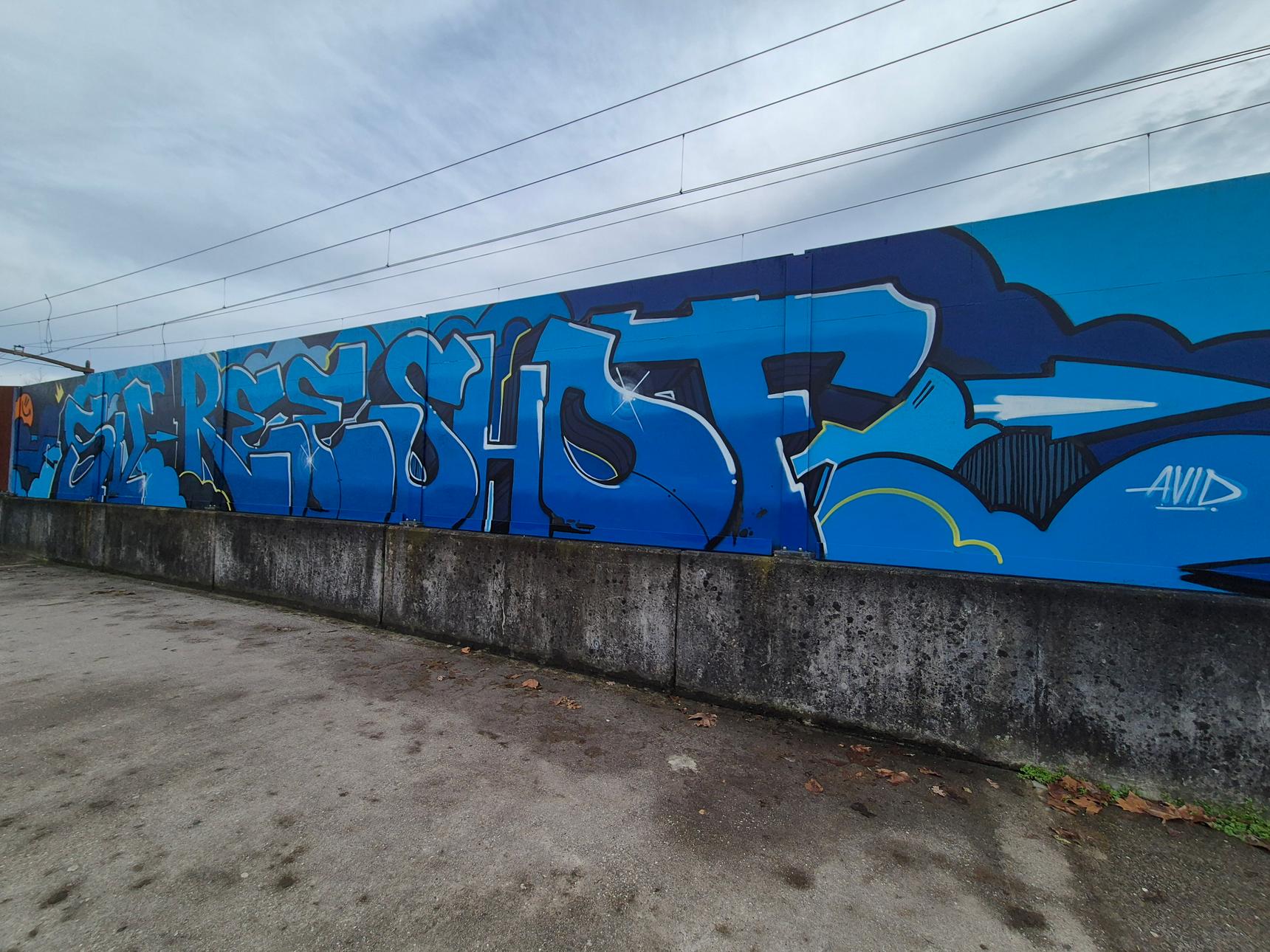 Avid Mouse—SV Reeshof