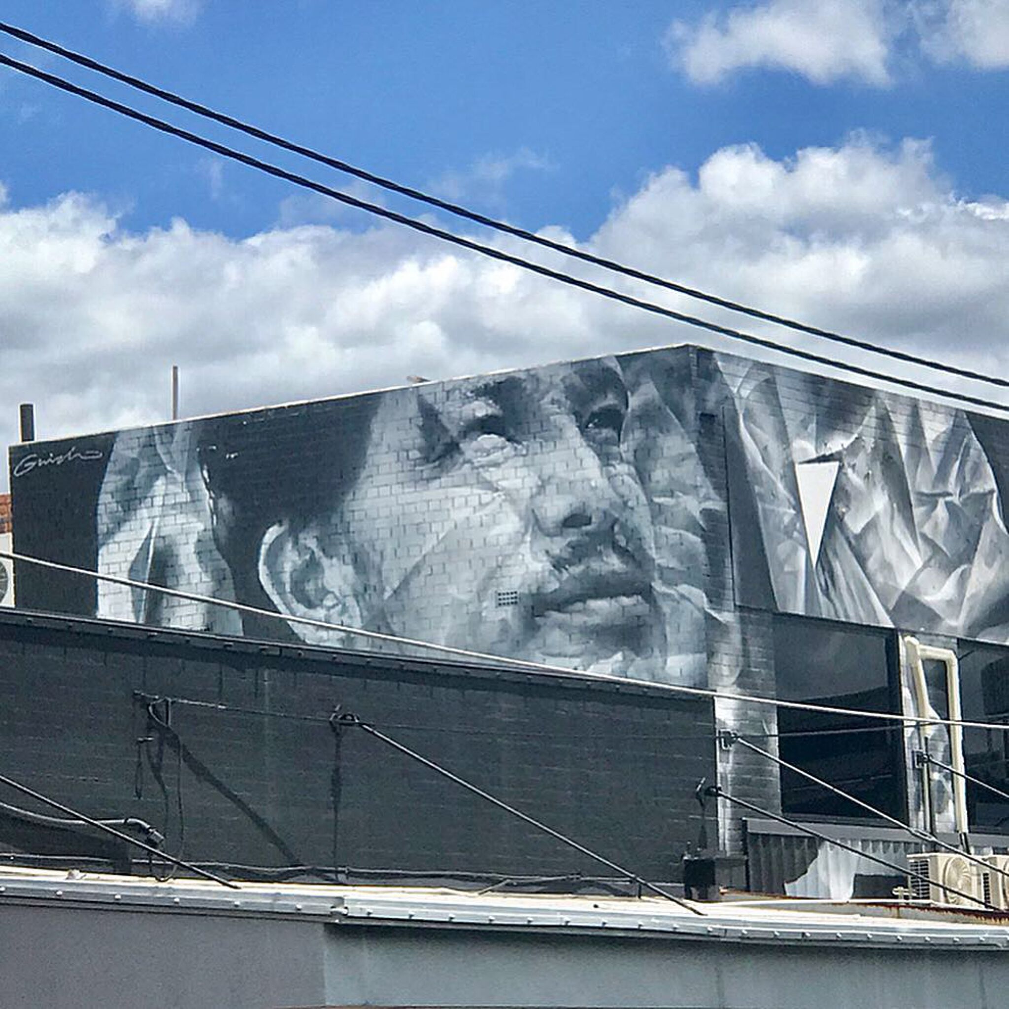 Guido van Helten&mdash;Untitled