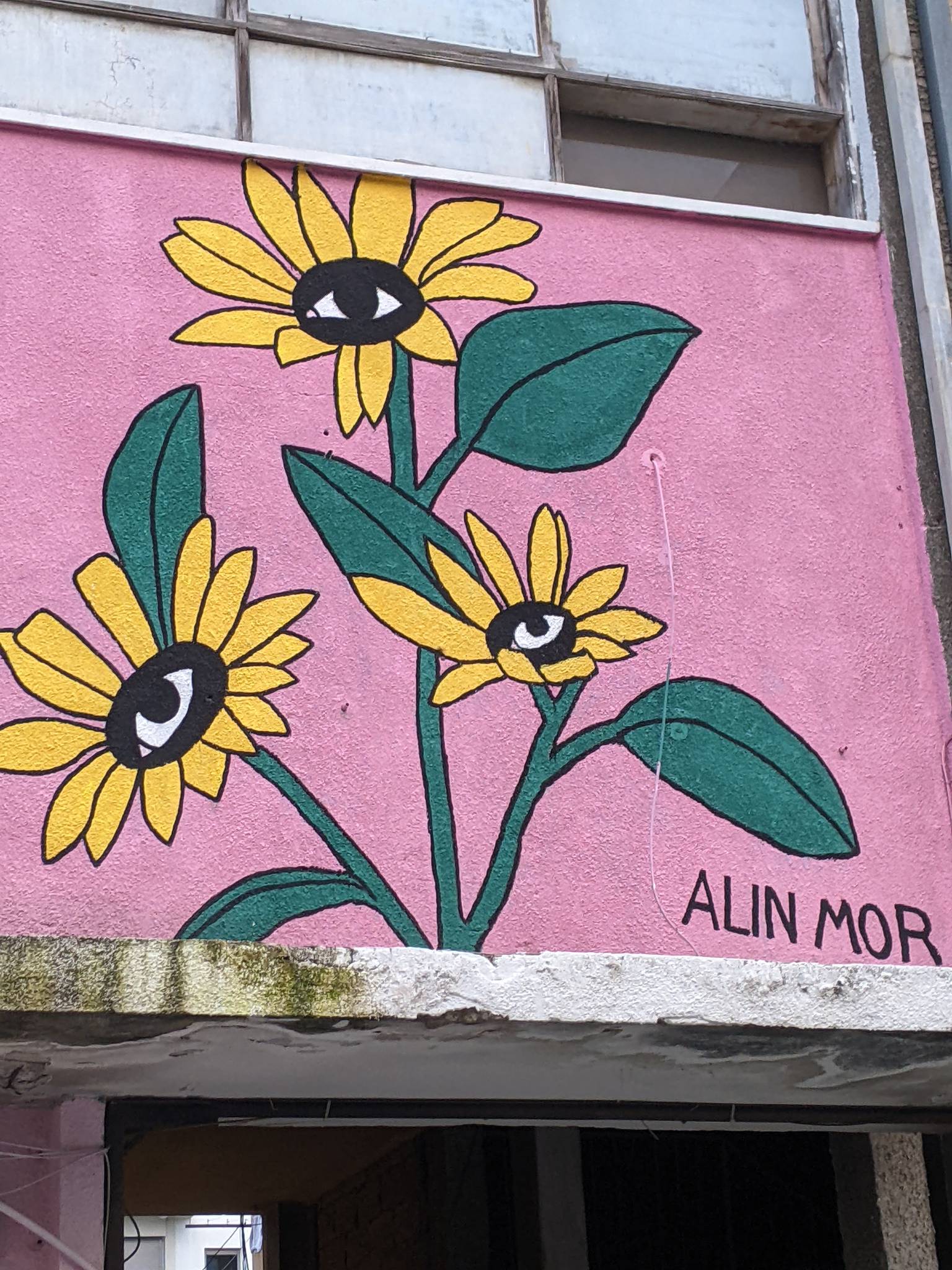 Alin Mor&mdash;Wolfson 48