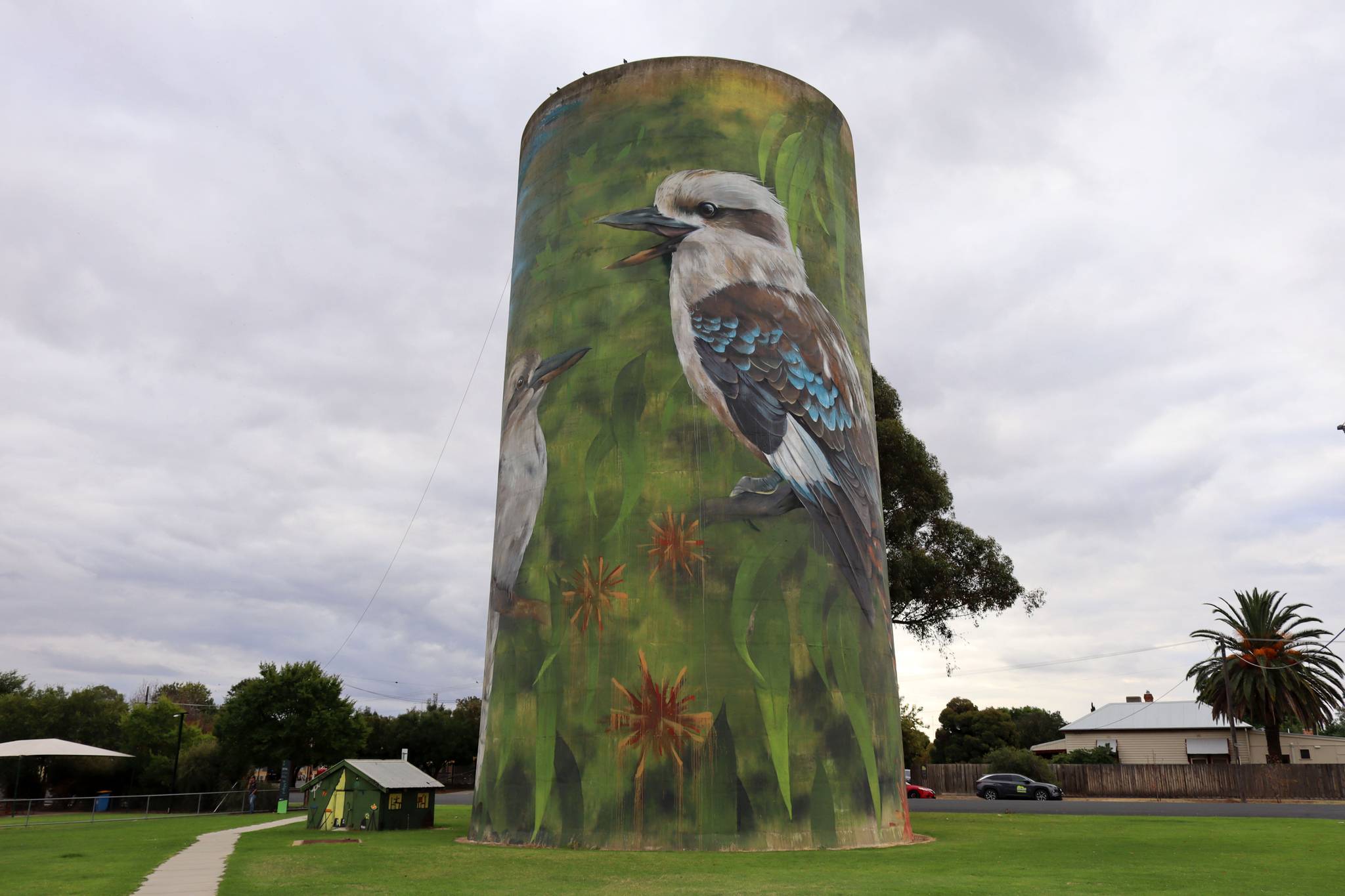 Cam Scale&mdash;Deniliquin Water Tower Mural