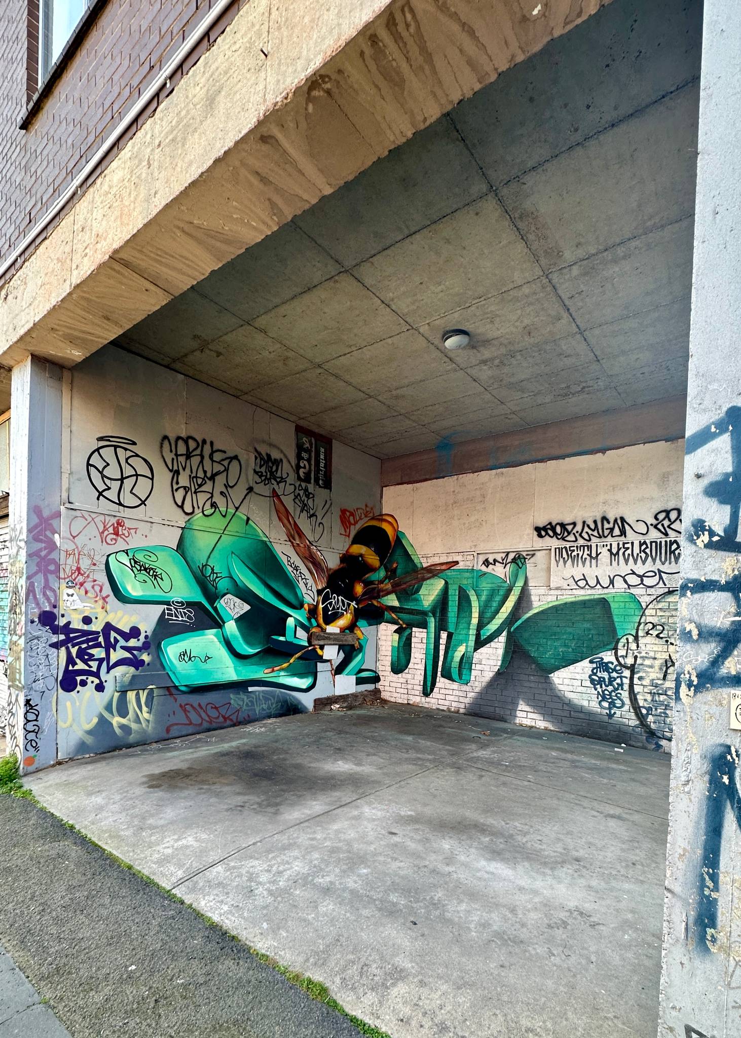 Odeith&mdash;Wasp- Melbourne