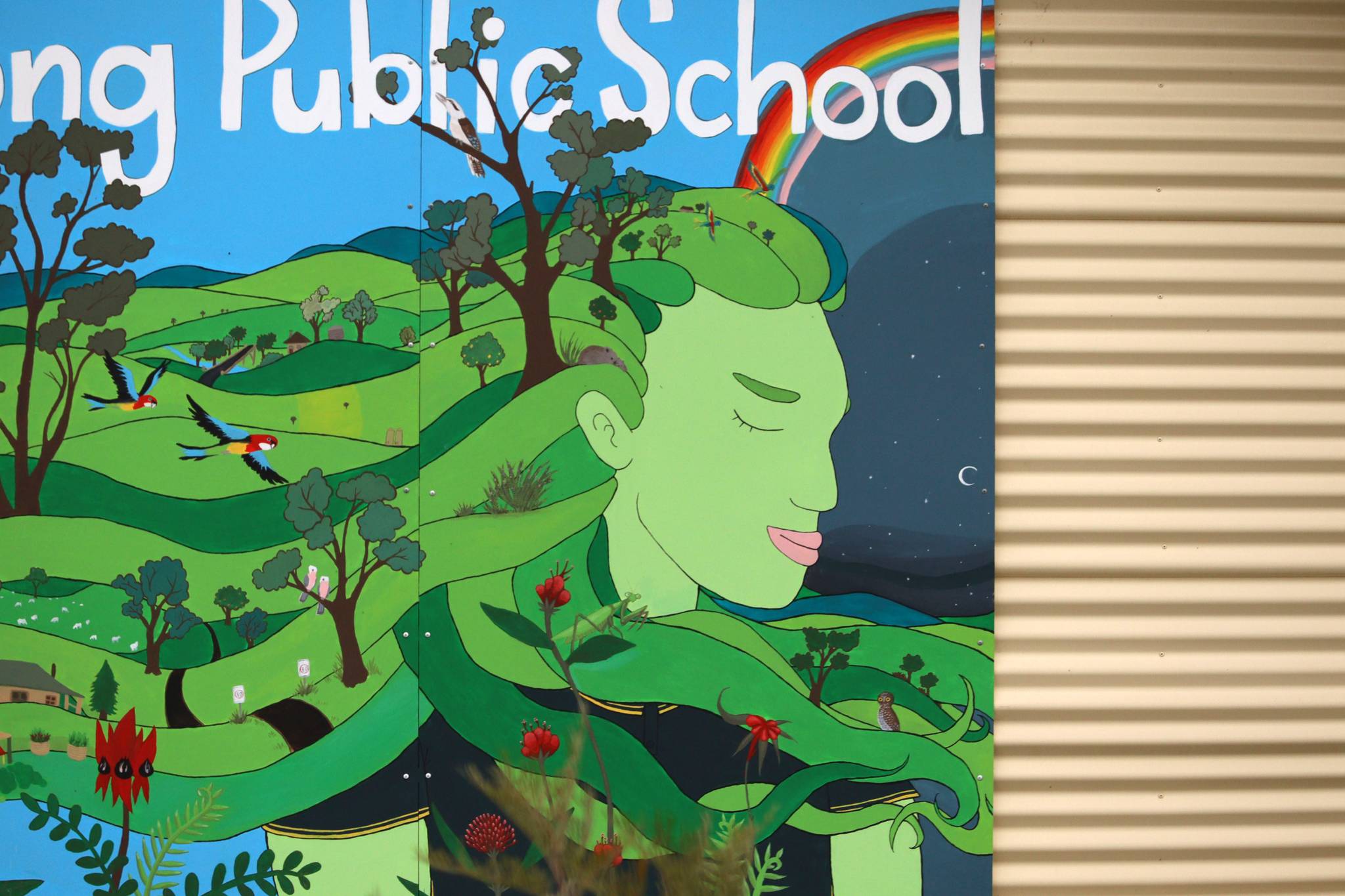 M Berneschi&mdash;Gooloogong Public School