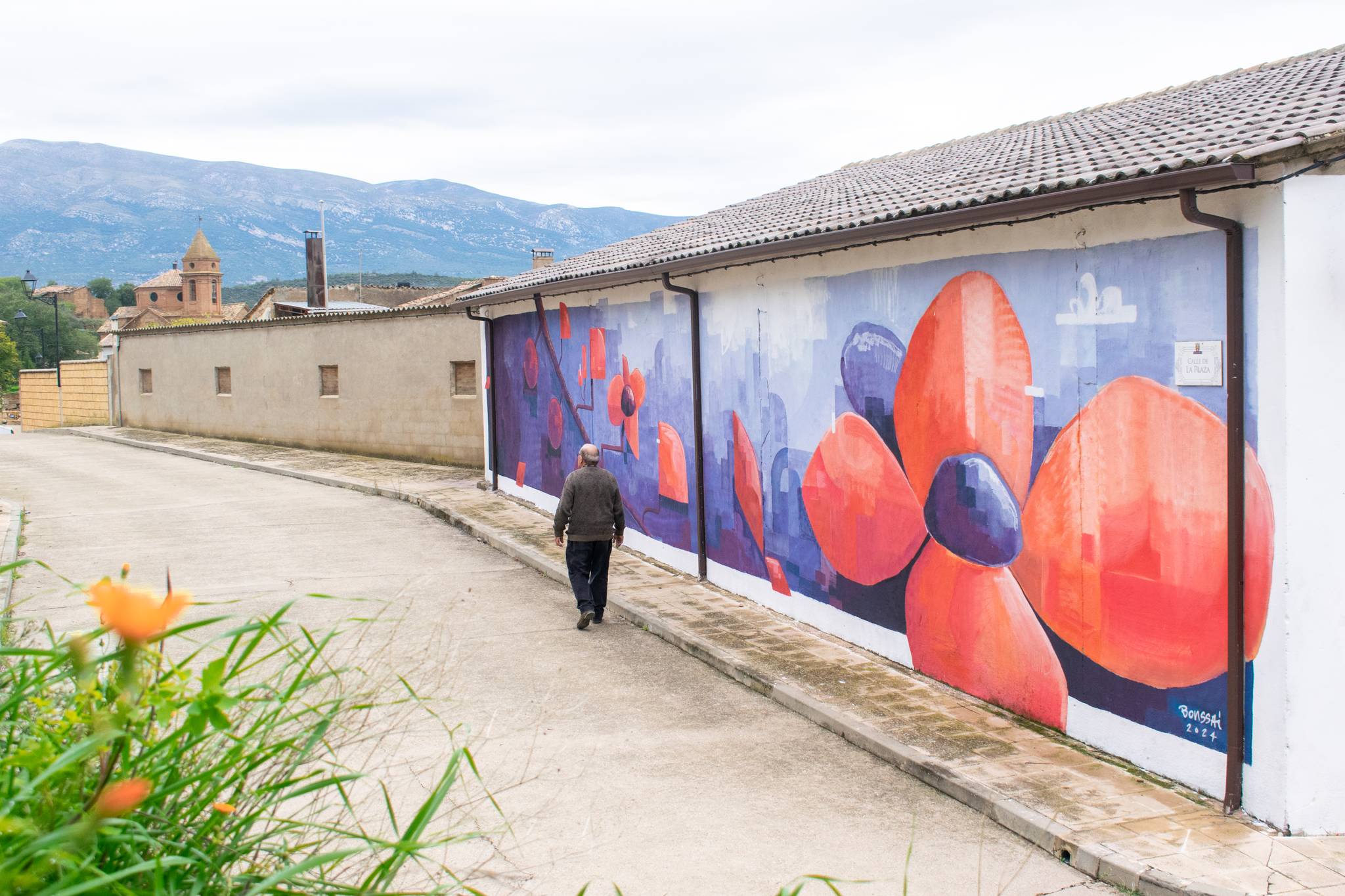  Dan Bonssai&mdash;Flor del pirineo