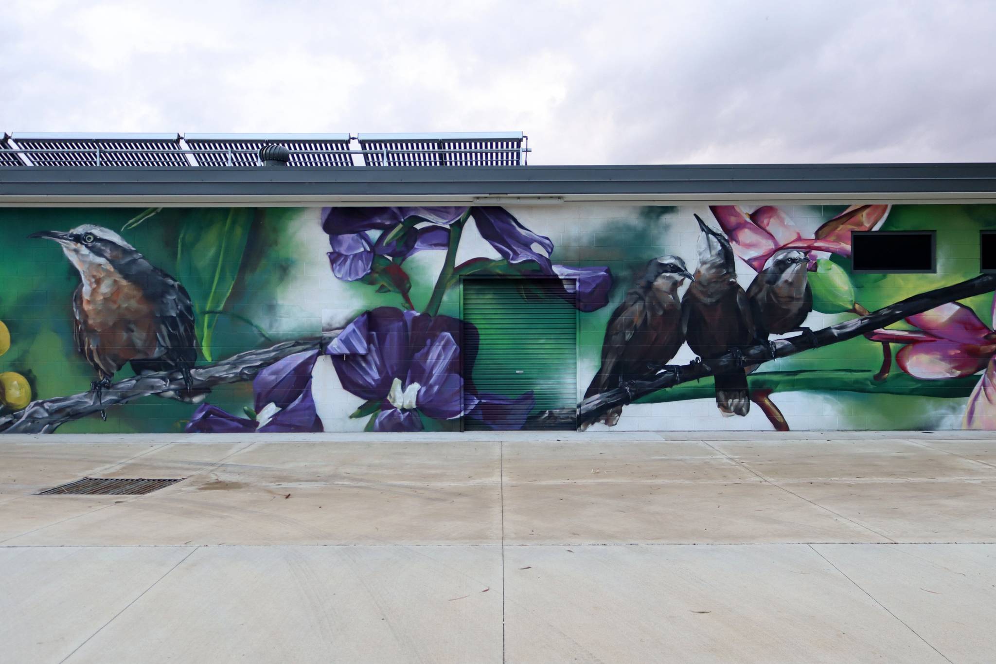 Ling&mdash;Jerilderie Swimming Pool Mural