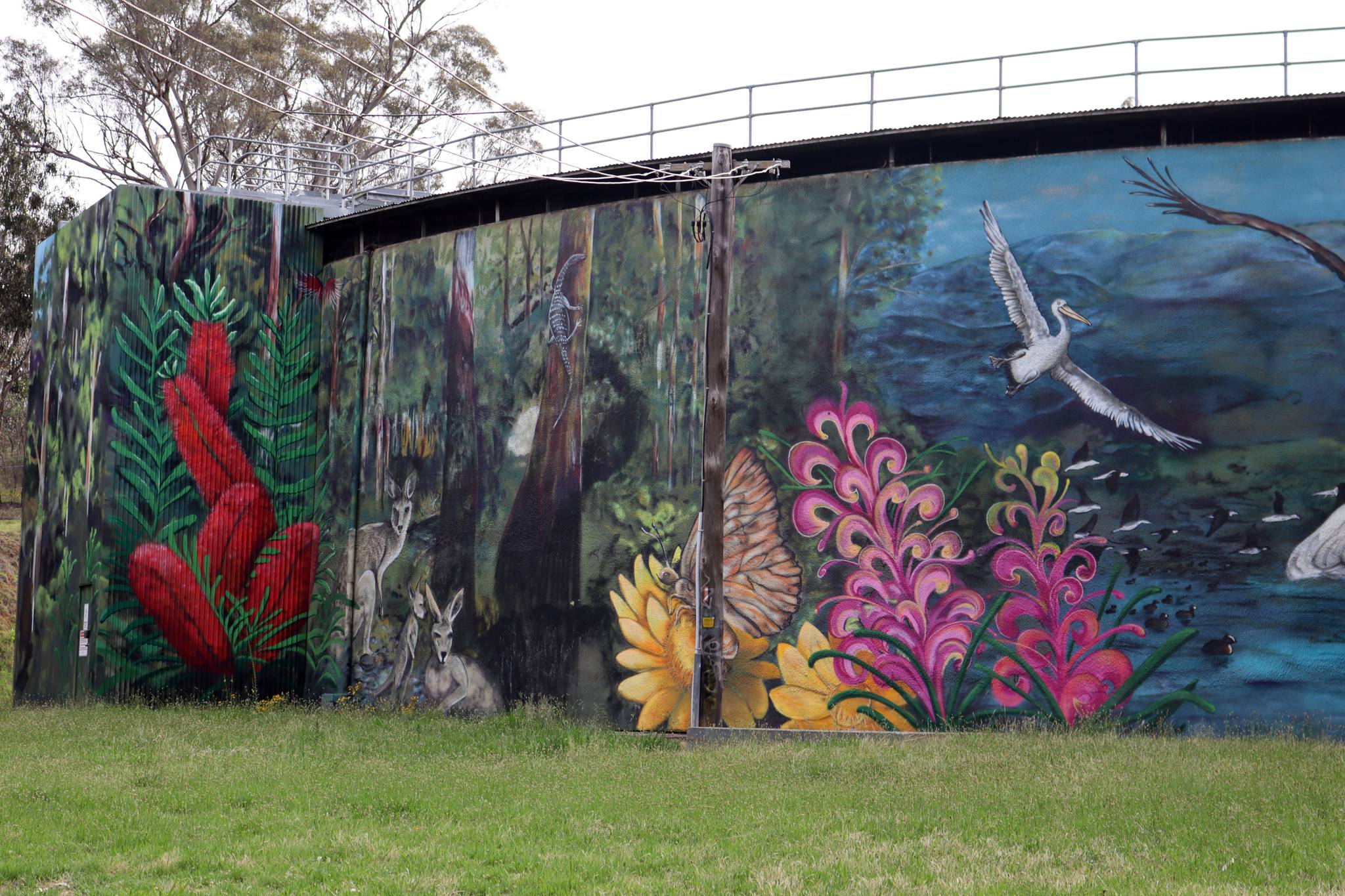 GraffikPaint, Pete Filmer&mdash;Narrabundah Reservoir