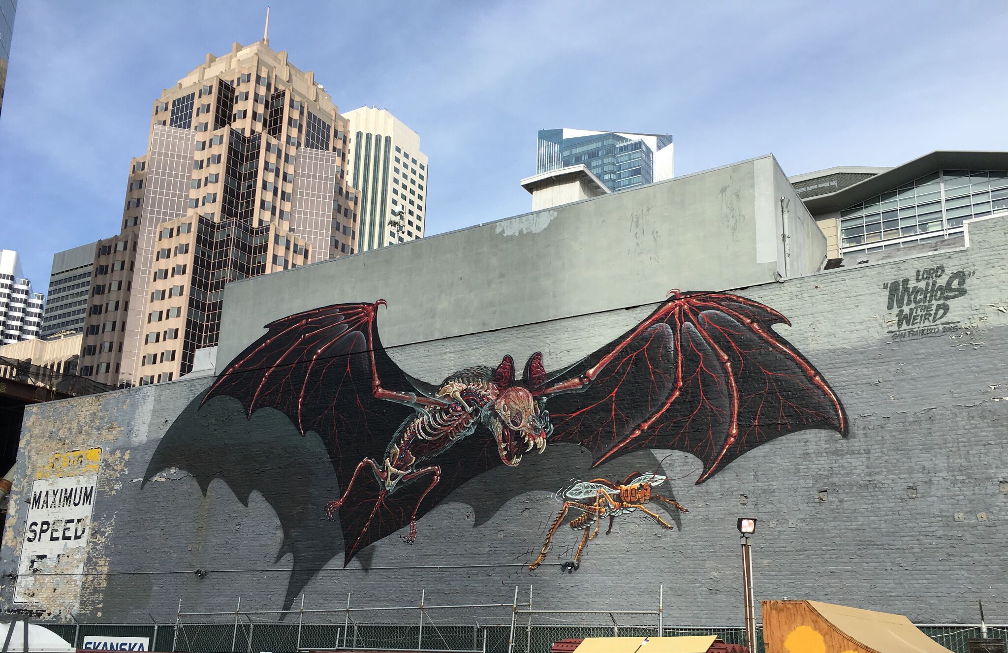 Nychos&mdash;Big bat chasing a fly.