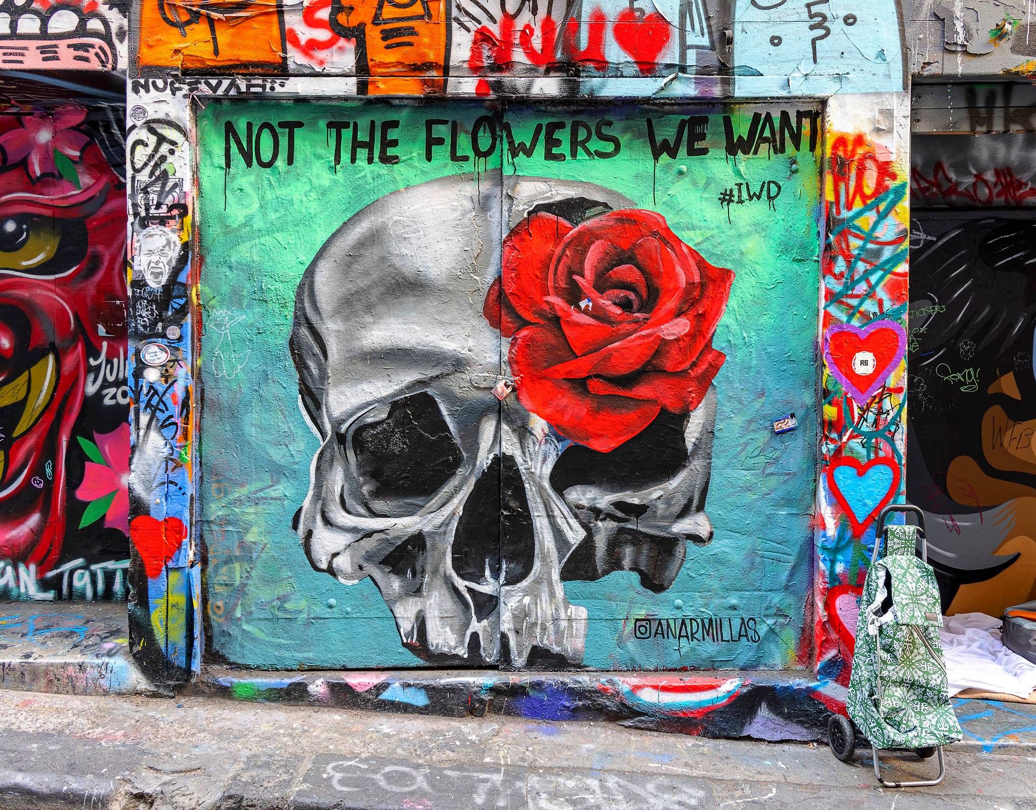 Ana Armillas&mdash;Not The Flowers We Want