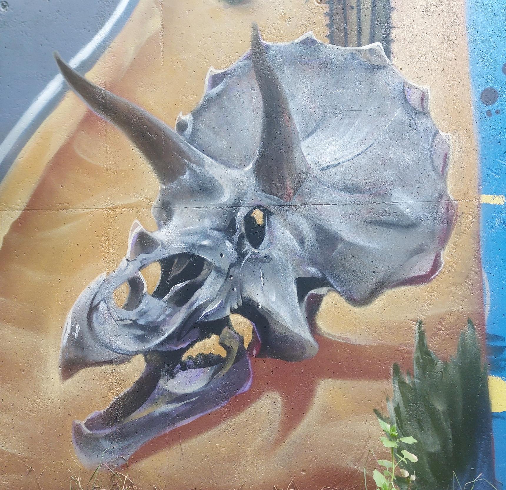 KIWI Wall Art, venkster1—Fear and loathing in L'As Limburg