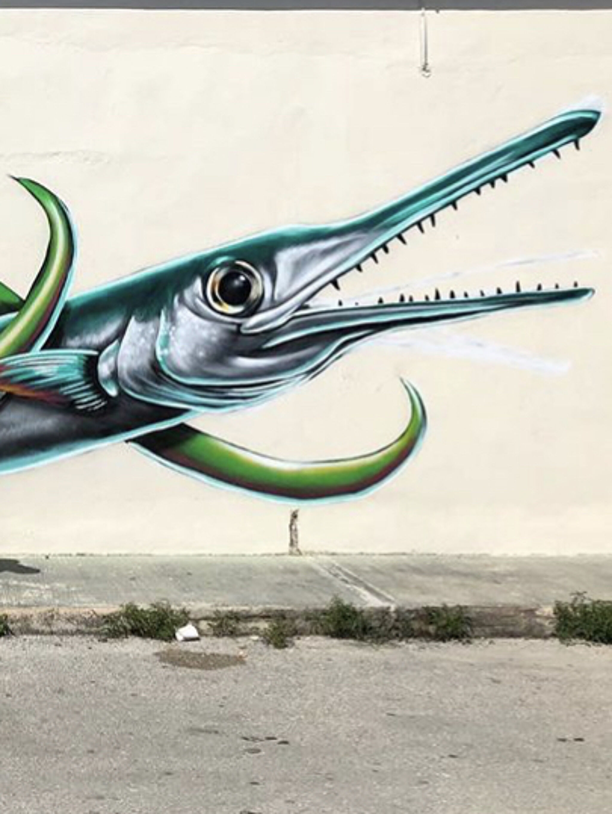 Ivan Roque&mdash;The Needlefish