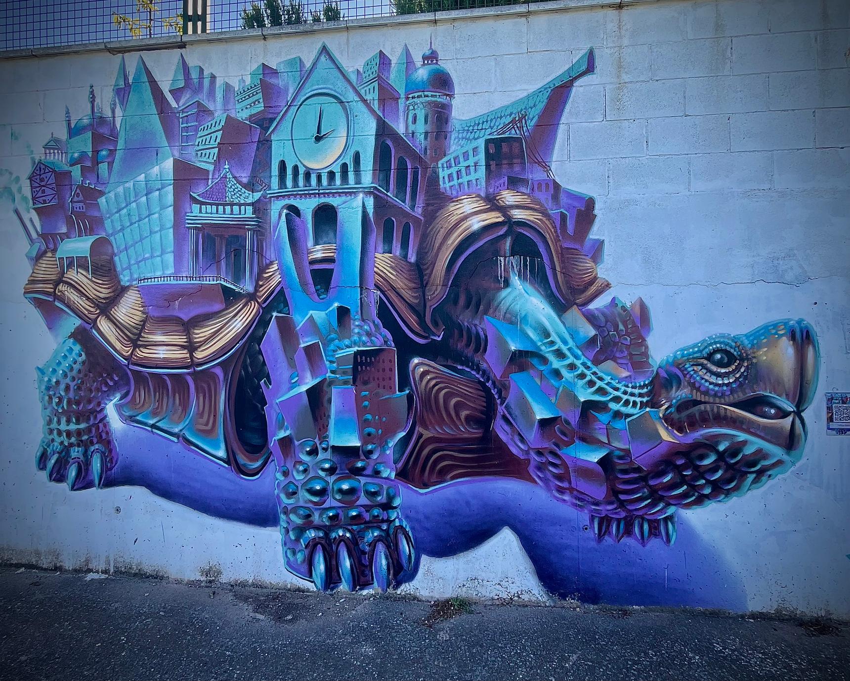 Seyer 155—The Timekeeper Turtle