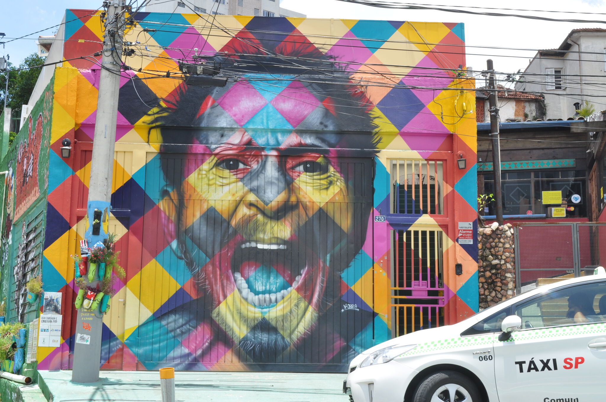 Eduardo Kobra&mdash;Tom Zé, Famous singer - 2016