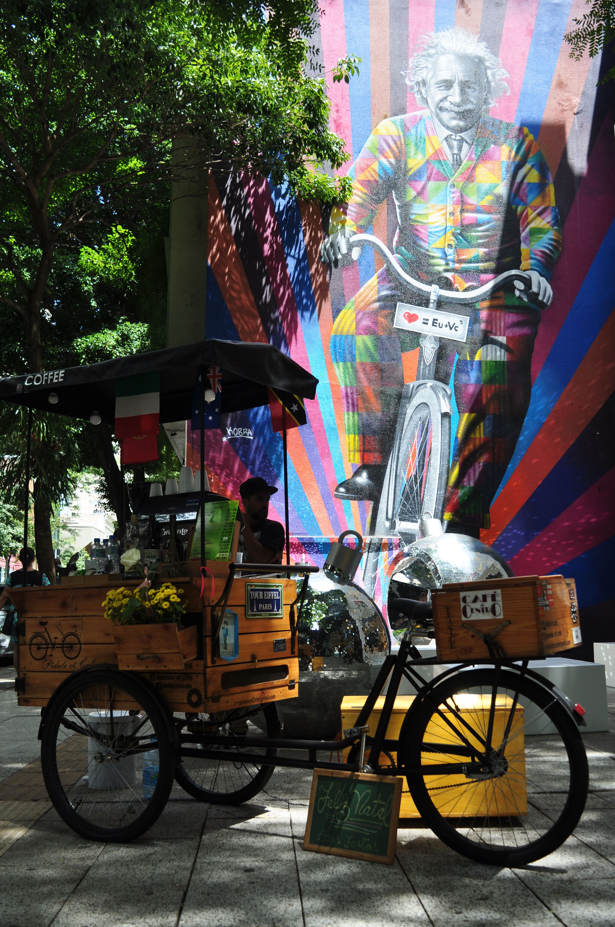 Eduardo Kobra&mdash;Albert Einstein, Ingenious is going by bike - 2015