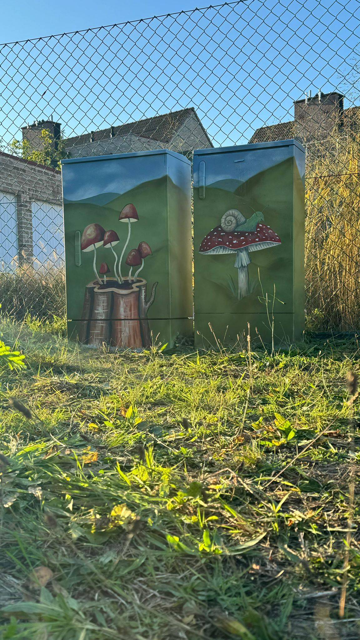 Olesia Panaseiko , Vera Verhoef&mdash;Tour Elentrik - Paddestoelen in de natuur