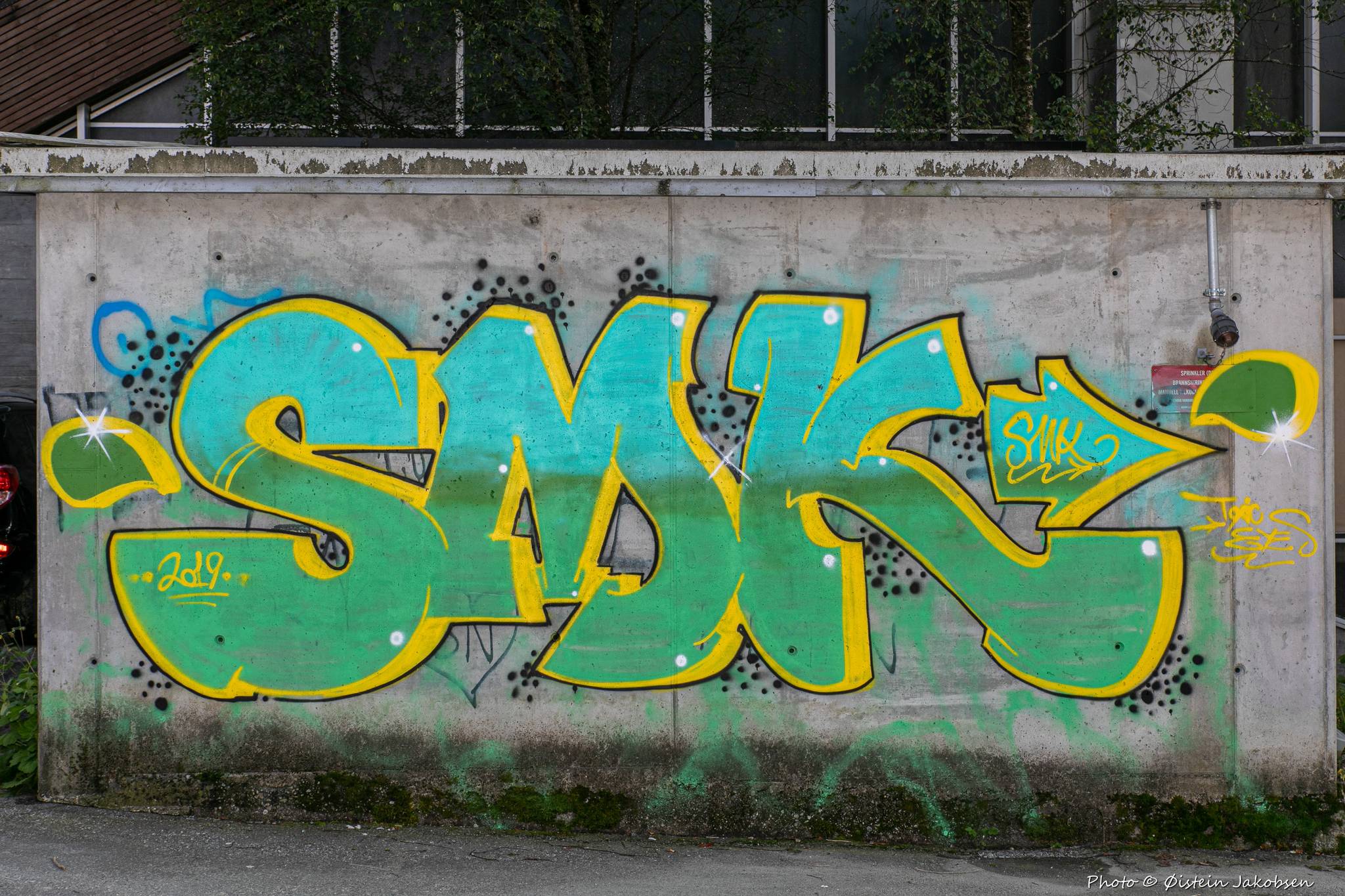 SMK&mdash;SMK