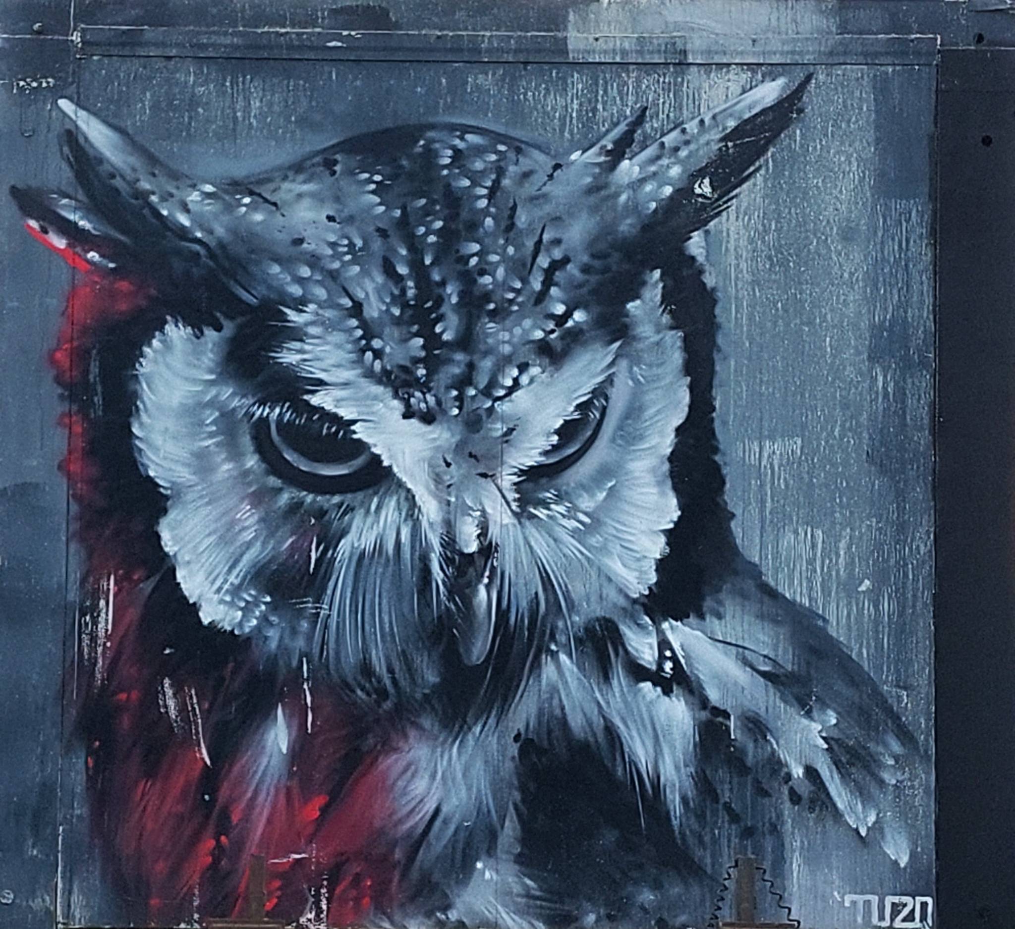 TUZQ&mdash;Owl