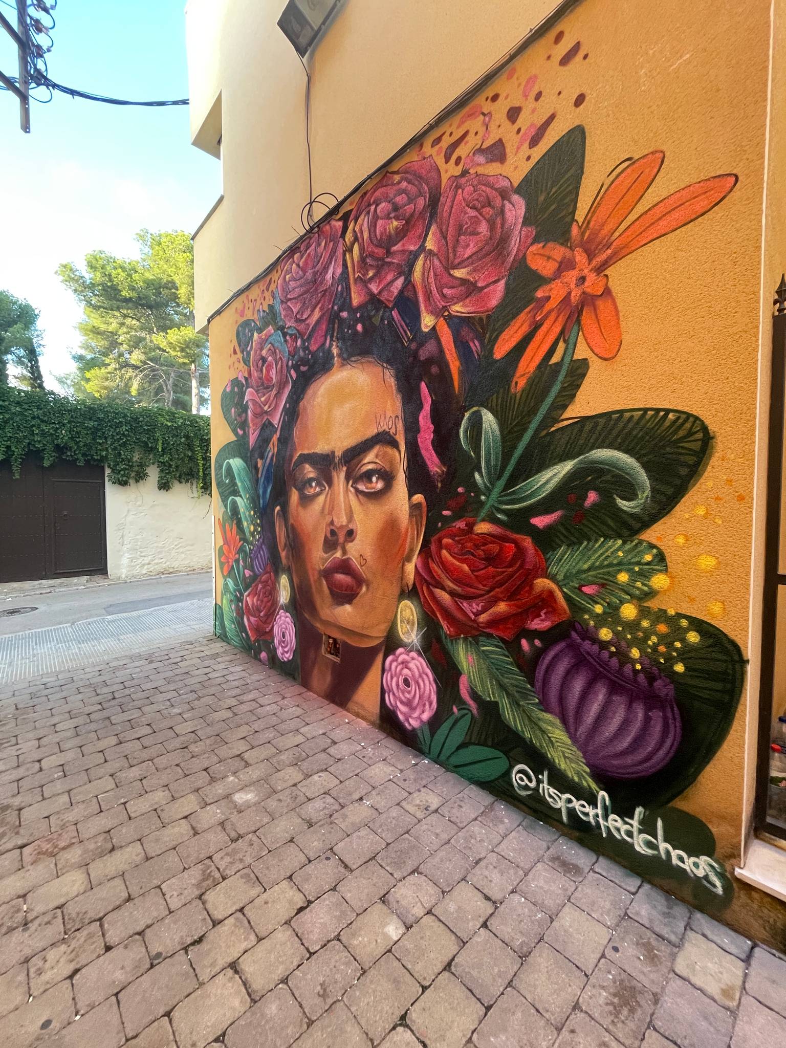 Itsperfectchaos&mdash;Frida Kahlo