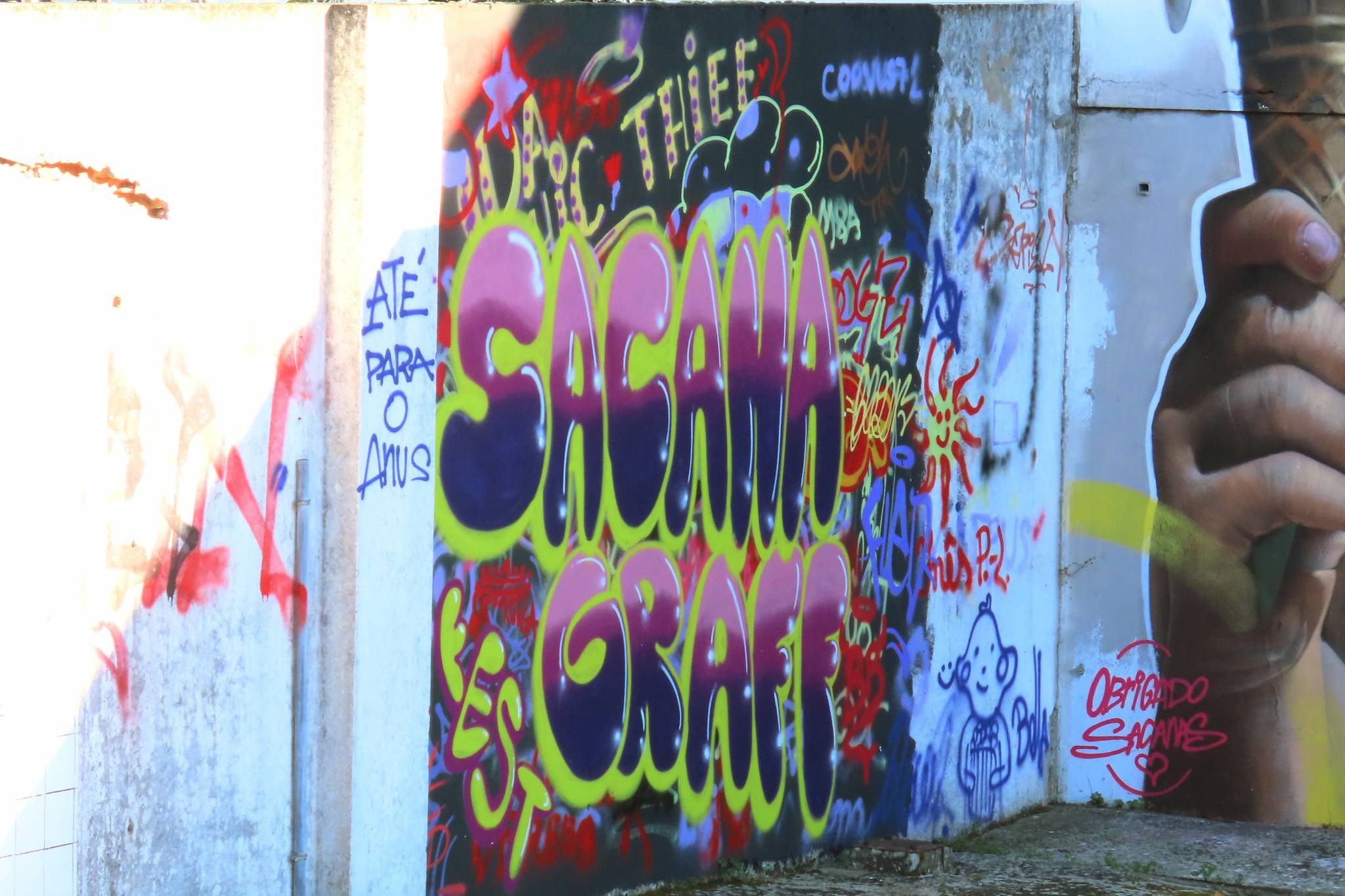 &mdash;SACANA GRAFF FEST 2024