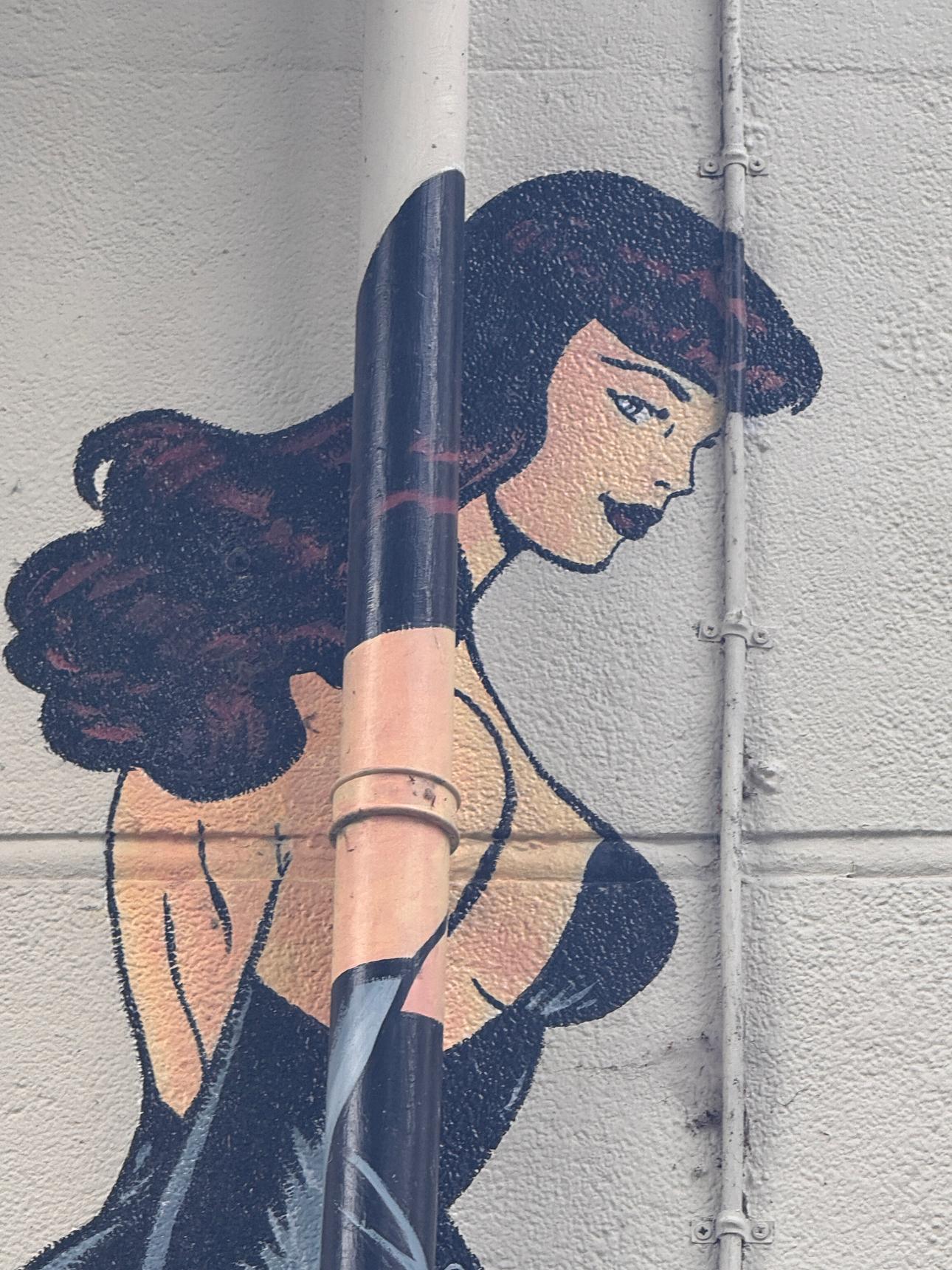 Unknown - Dordrecht—Pin-up