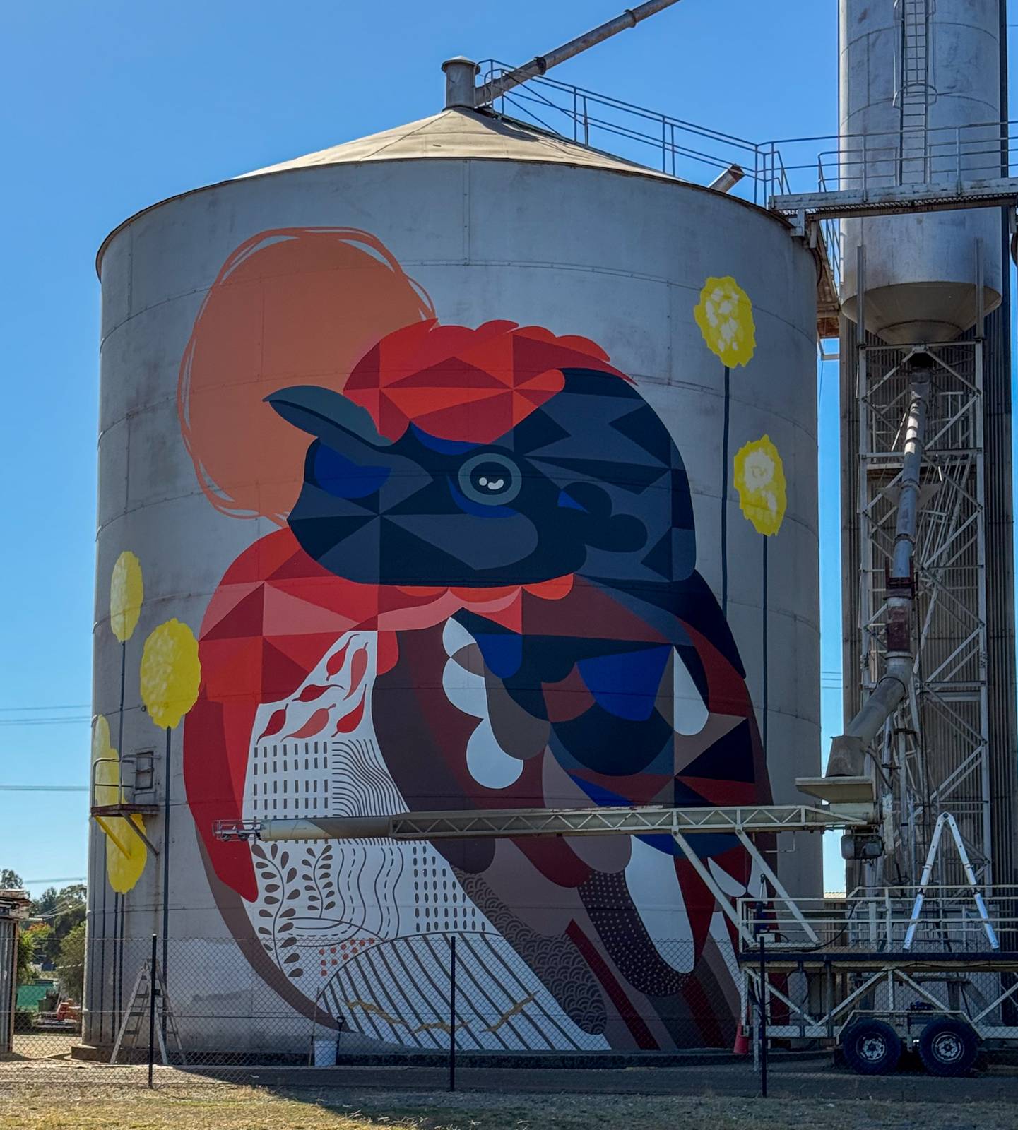 Ronan Holdsworth—Rutherglen Silos - Birds of Seasons