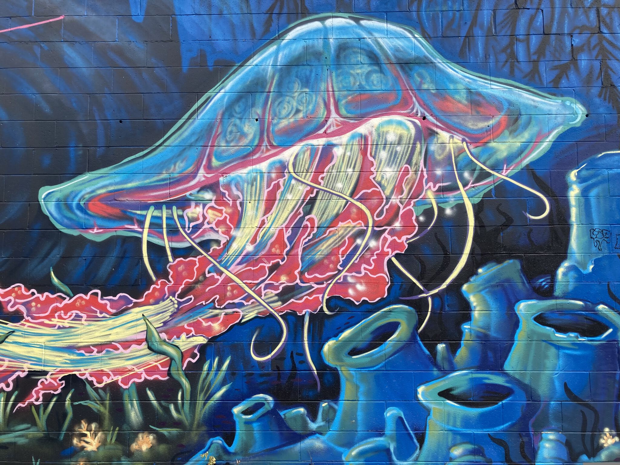 Clay Lowe&mdash;Shrimp and Jellyfish Wall