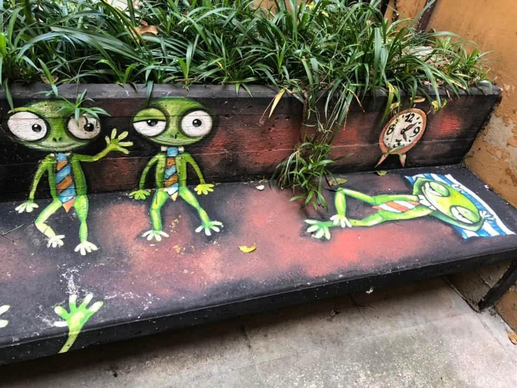 Nasoni Daniela—“THE FROGS”