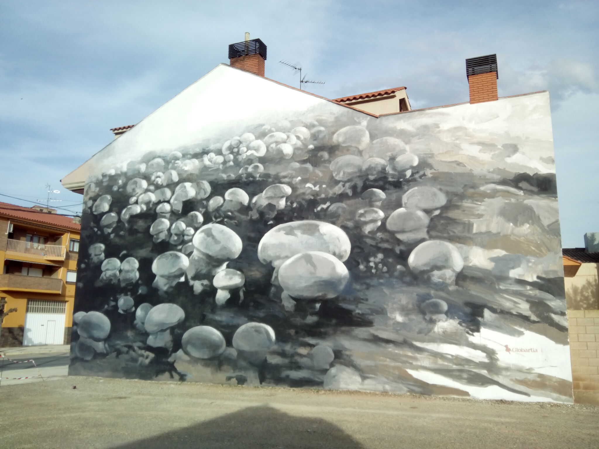 Globartia&mdash;Mural en honor al champiñón / mushrooms wall