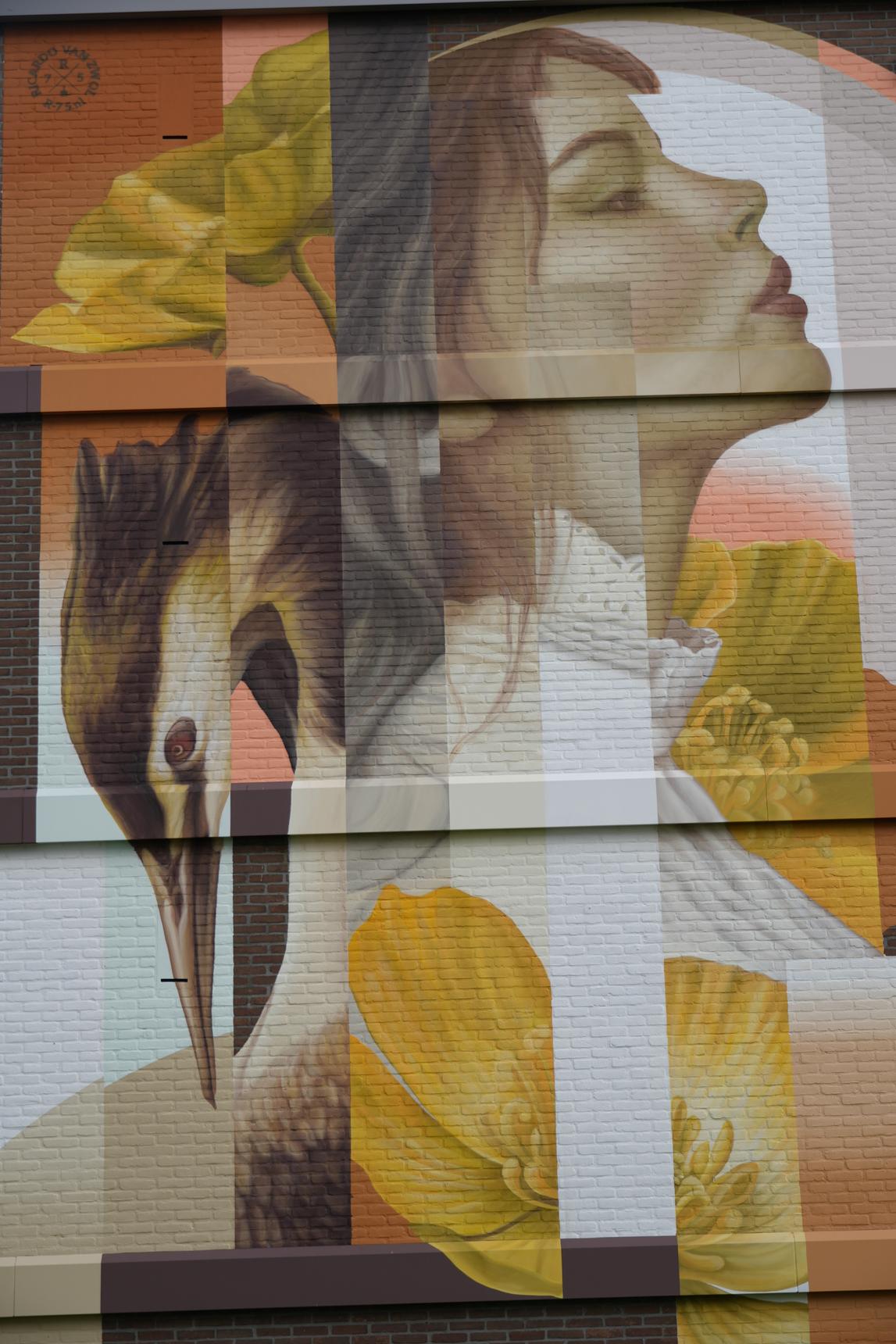 Ricardo van Zwol—Untitled
