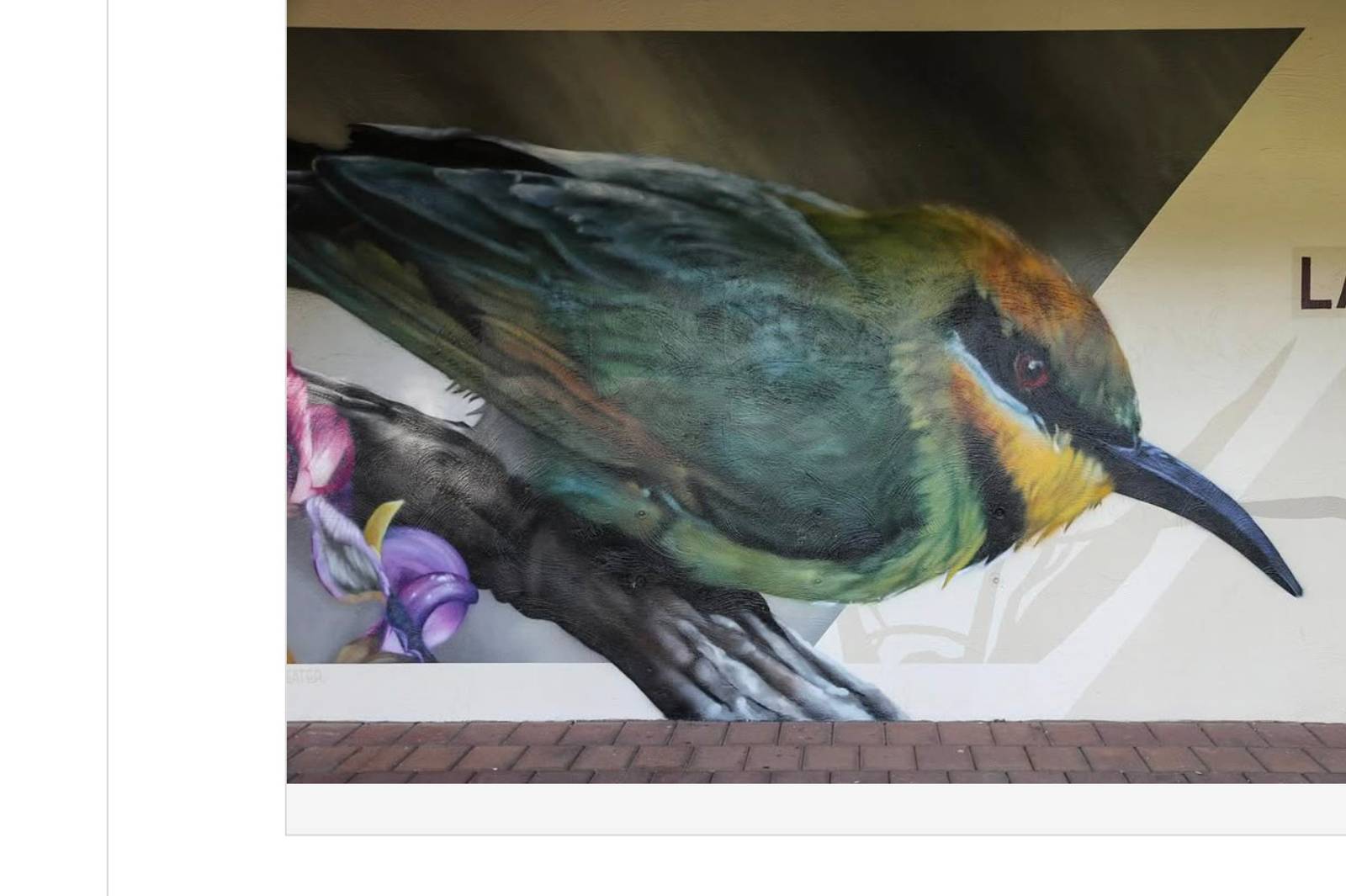 Dvate—Koala / Rainbow Bee Eater / Flora