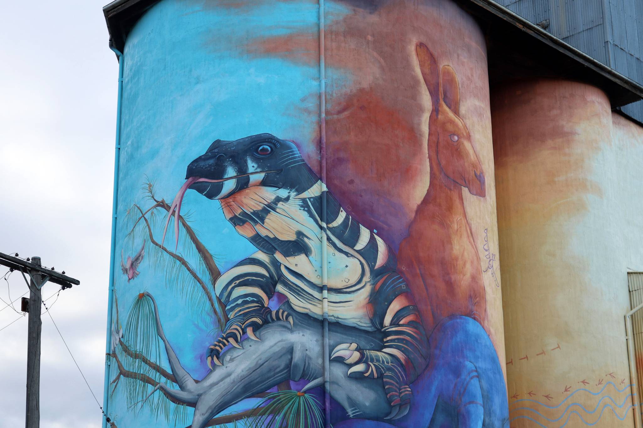 Peter Ryan&mdash;Quirindi Silo Art