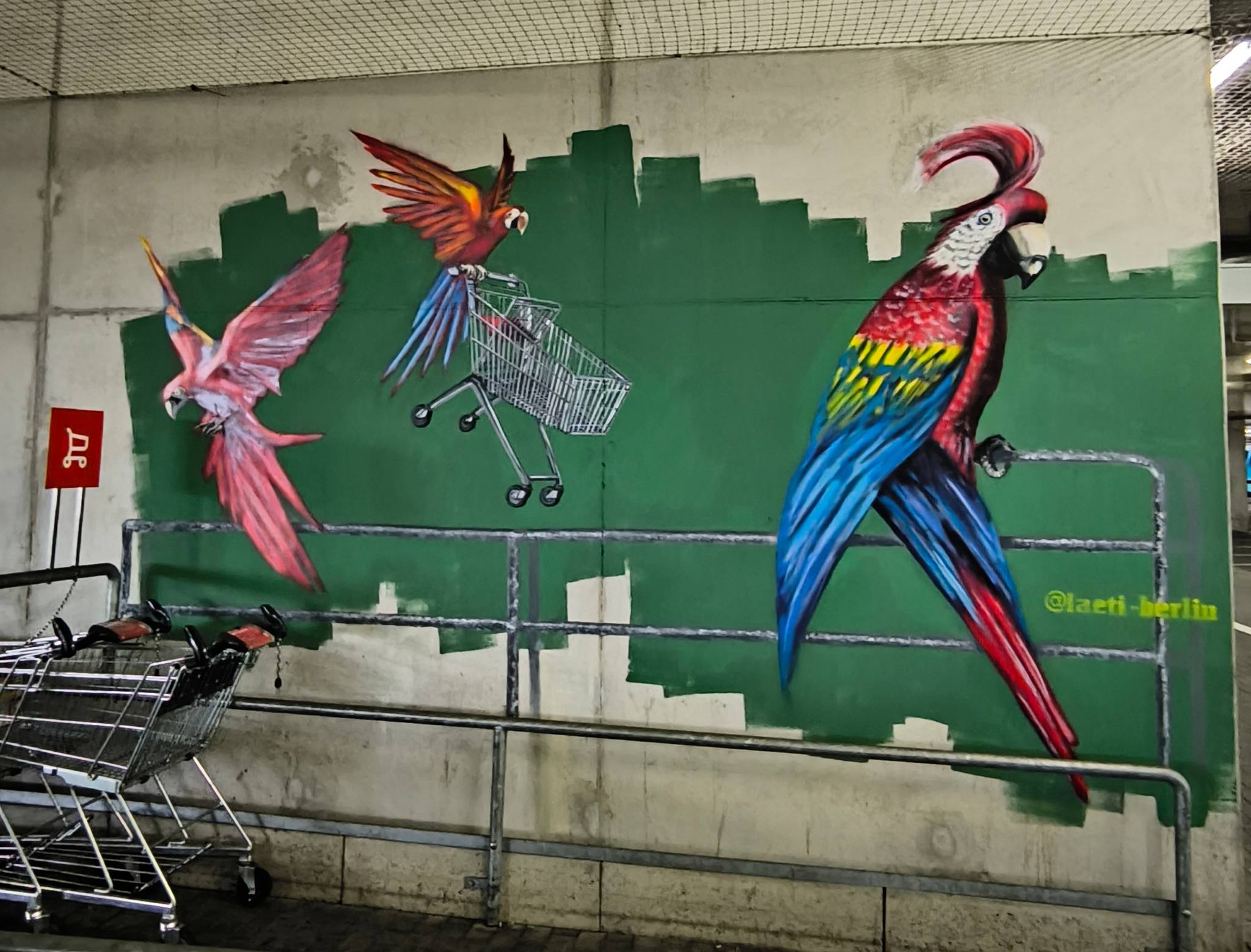 Laetitia Hildebrand (Laeti)&mdash;Parrot gang stealing shopping carts