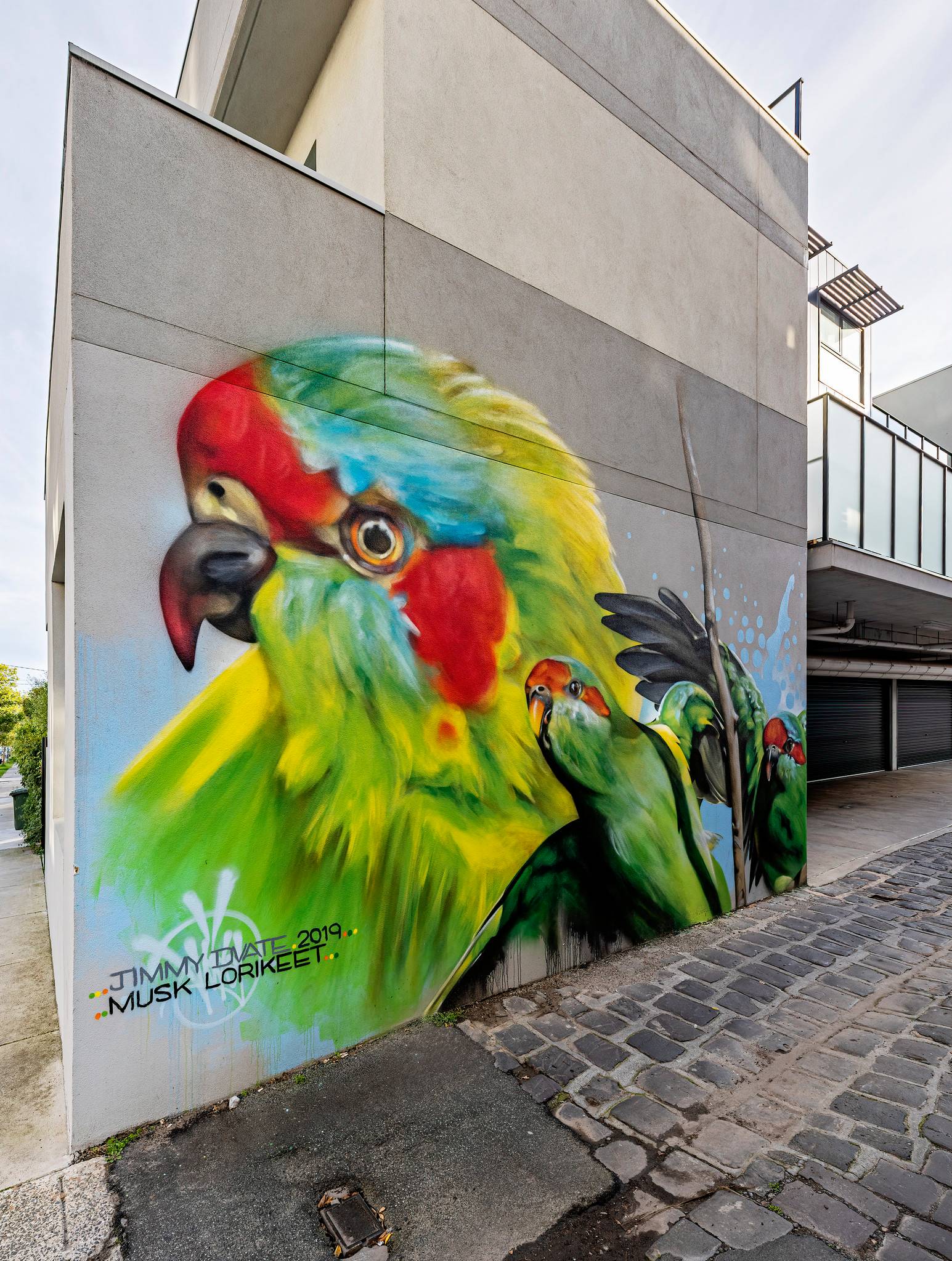 Dvate&mdash;Musk Lorikeets