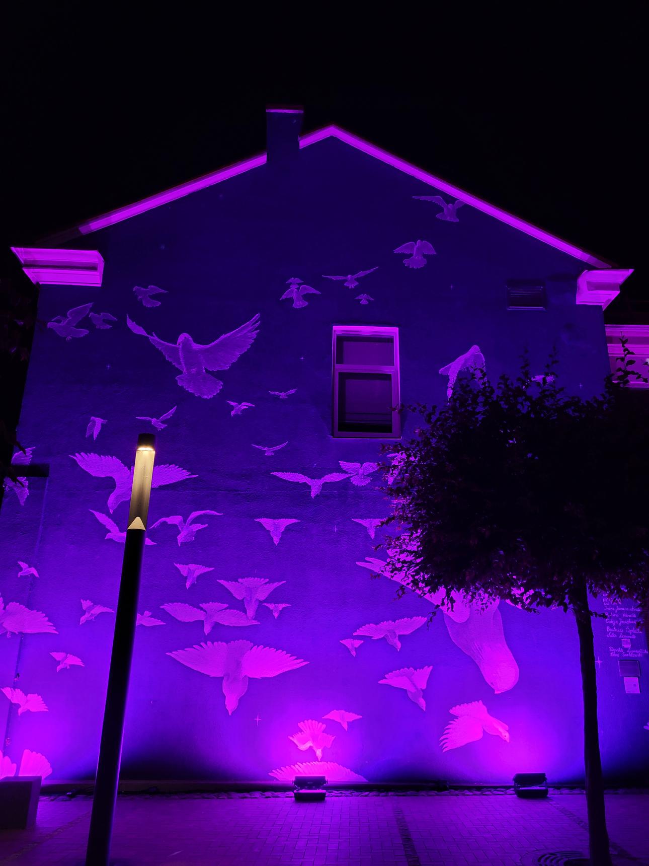 Will Teather—Flock of doves