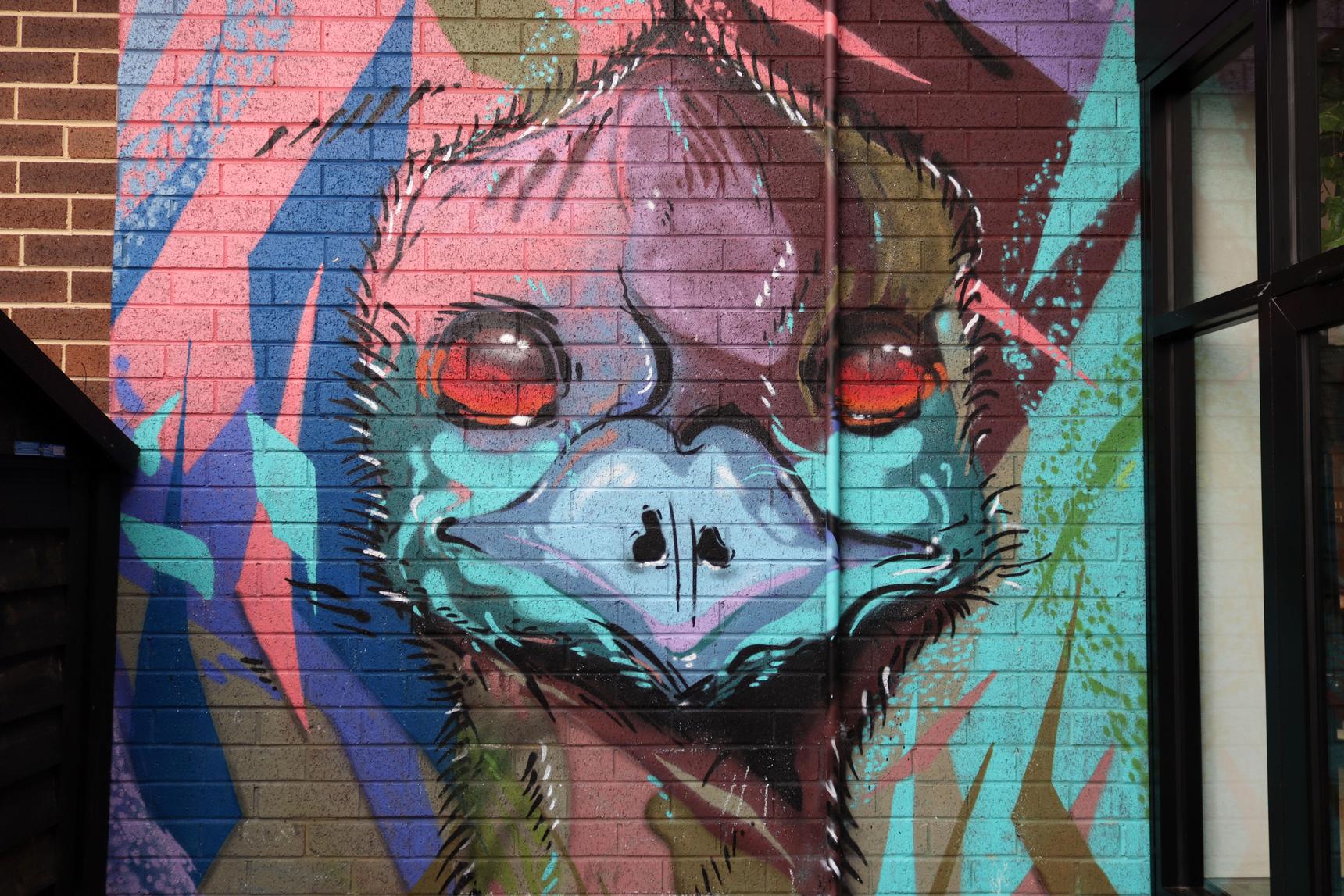 Jake Graham—Emu Time