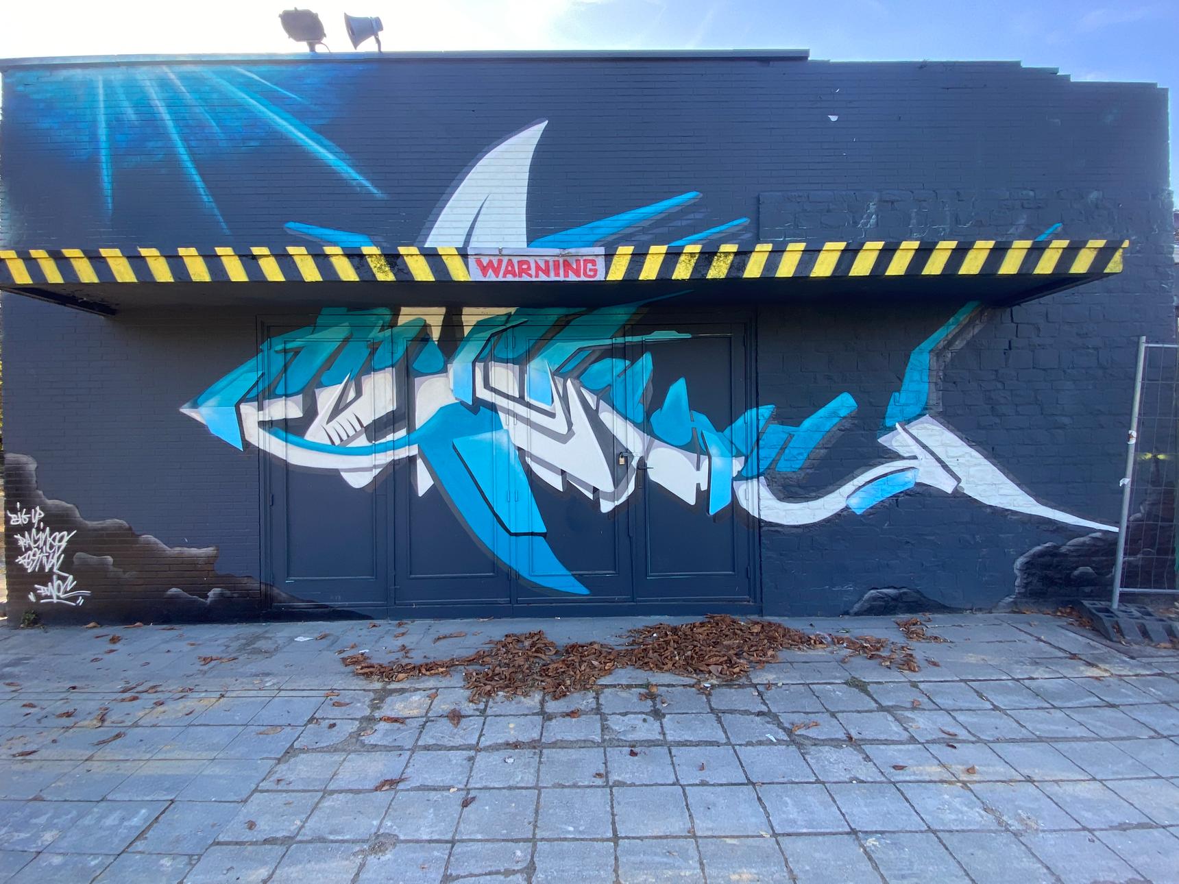 Ewoc—Decomposing Shark