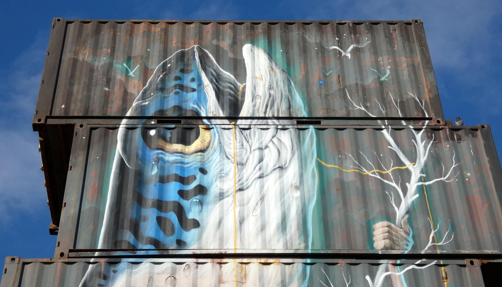Veks Van Hillik—Poissons - Science-fiction et introspection