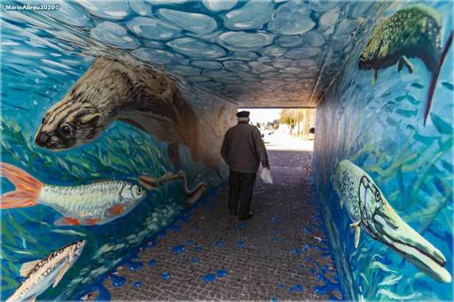 The Aquarium of Águeda