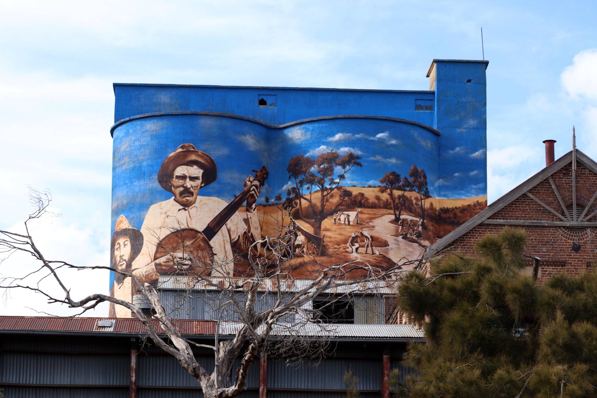 Heesco&mdash;Murrumburrah Mill Silo Art Stage 2