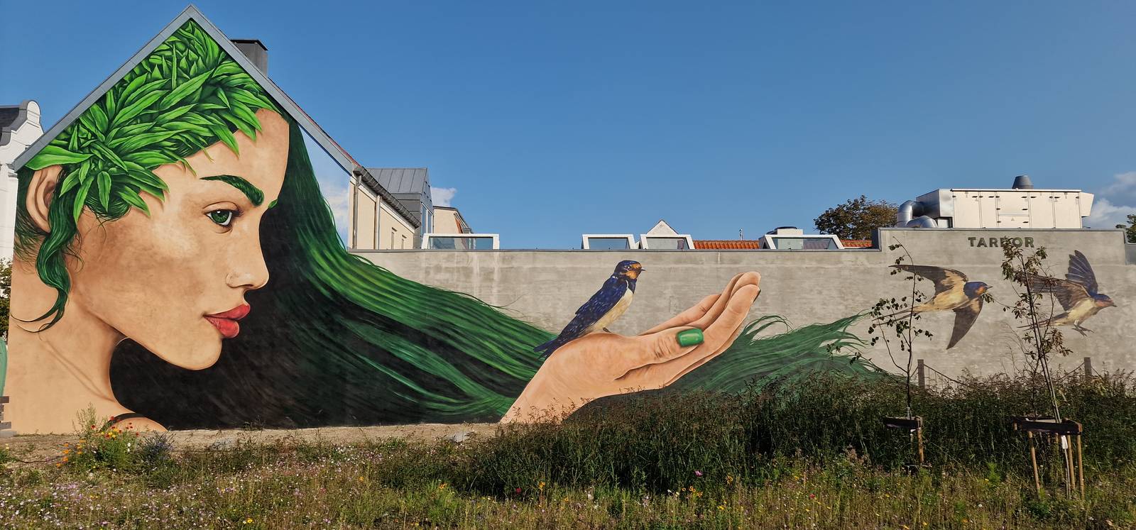 Tardor—Mother Nature