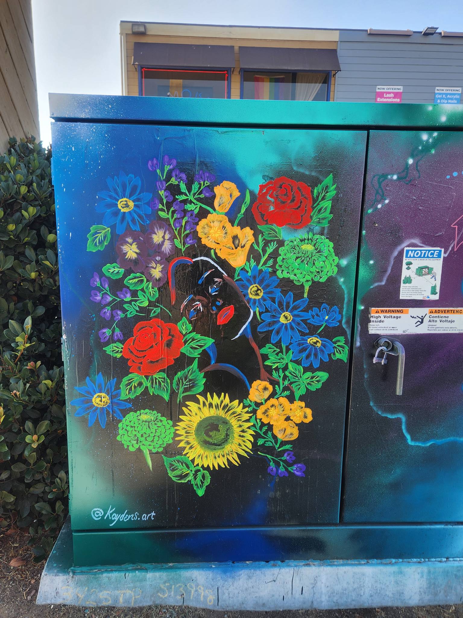 kaydens.art&mdash;Flower Face Electric Box