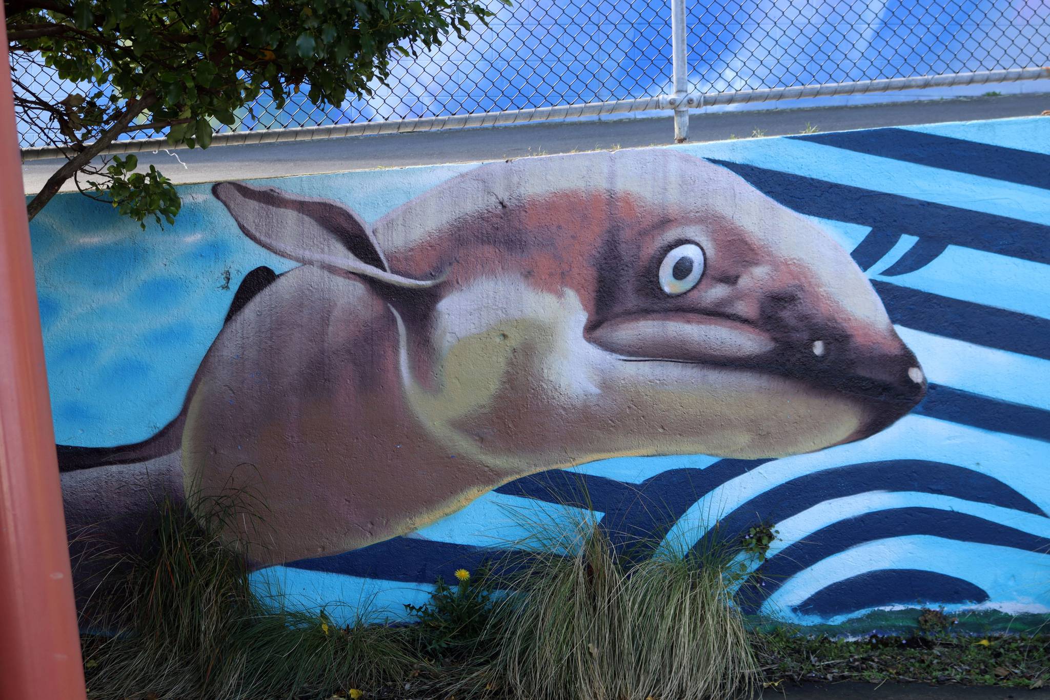 Dcypher, Wongi 'Freak' Wilson, Ikarus, Jacob Yikes&mdash;Lyttelton Skate Park