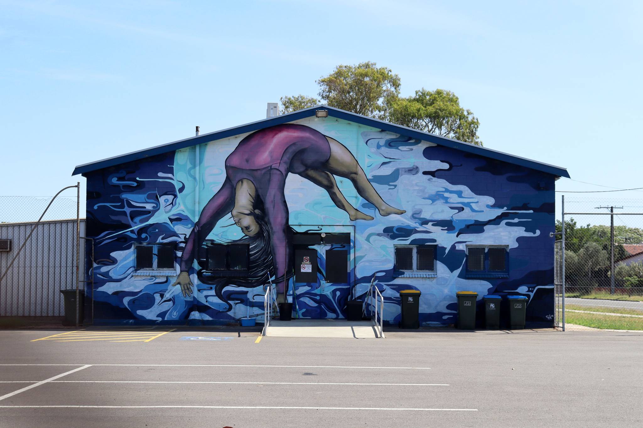 Unknown - Adelaide&mdash;Dynamic Gymnastics Club