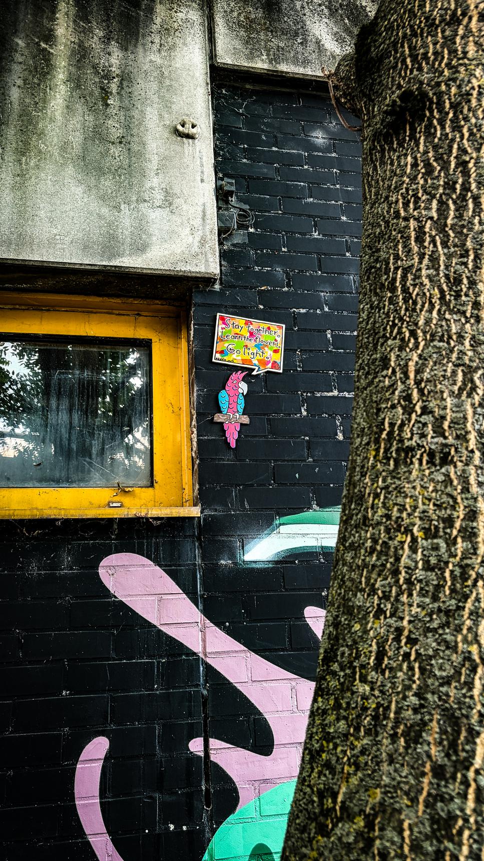 Eddie_mulk—Untitled