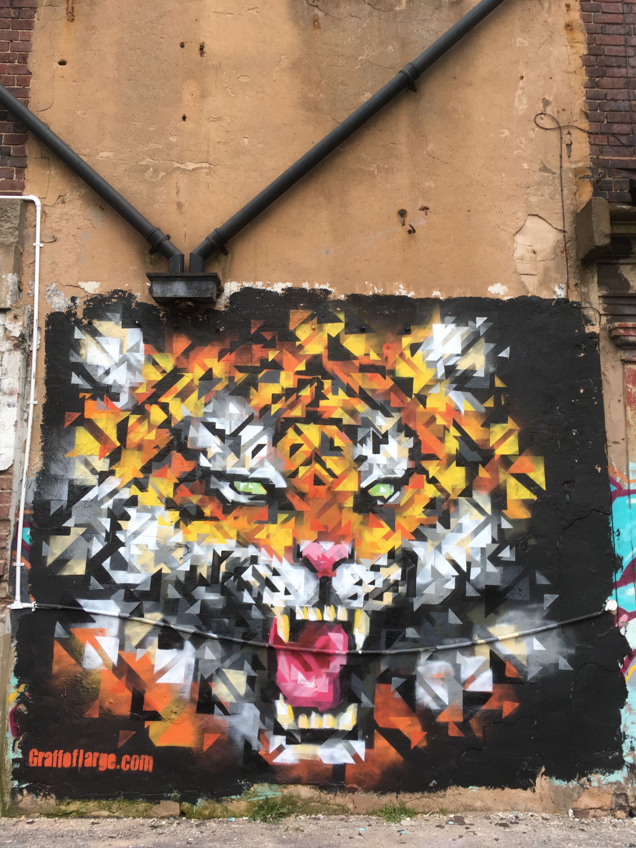 Graffoflarge&mdash;Tiger 