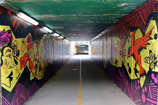 Marine Migration Through the Underpass